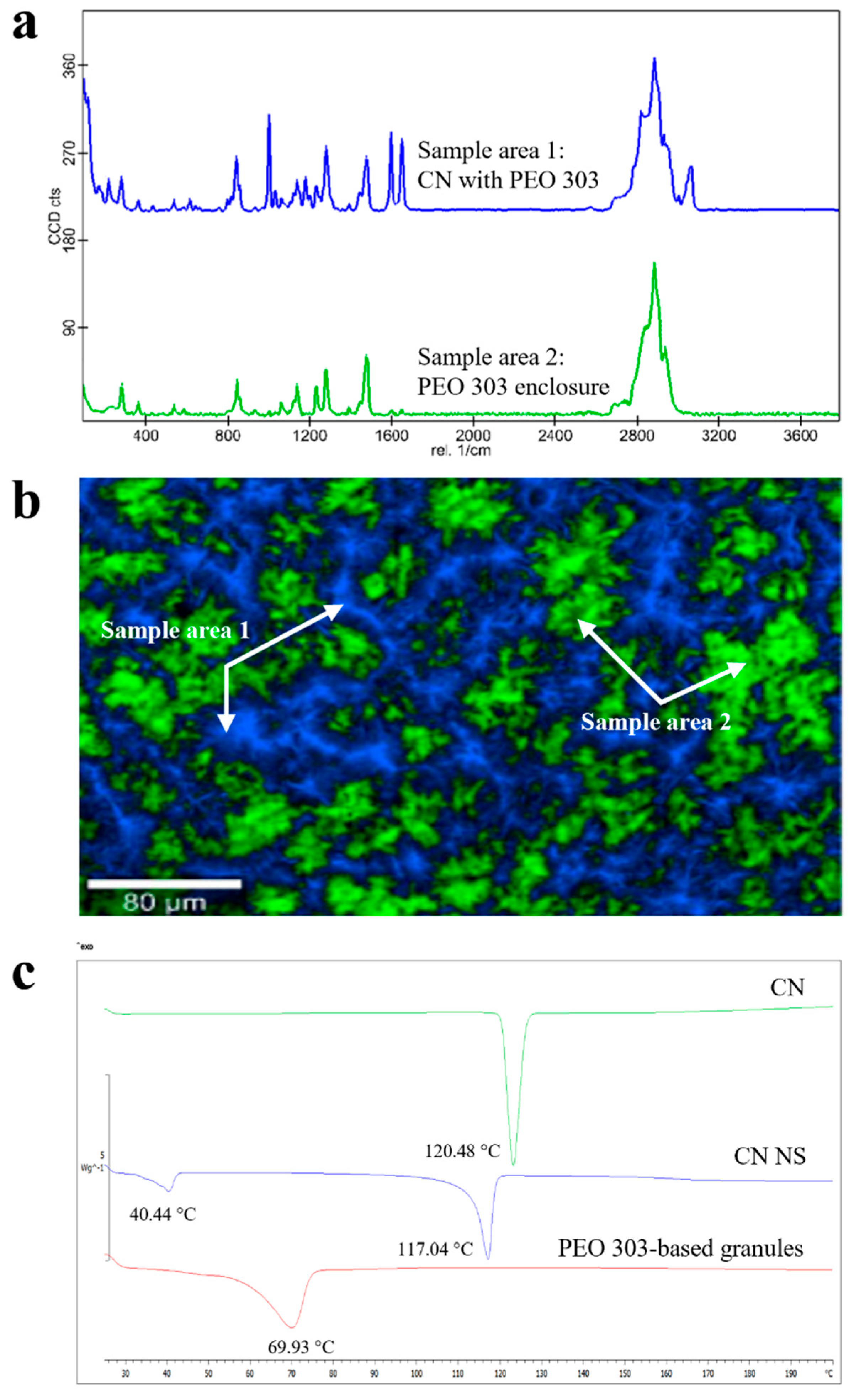 Pharmaceutics 17 00662 g006