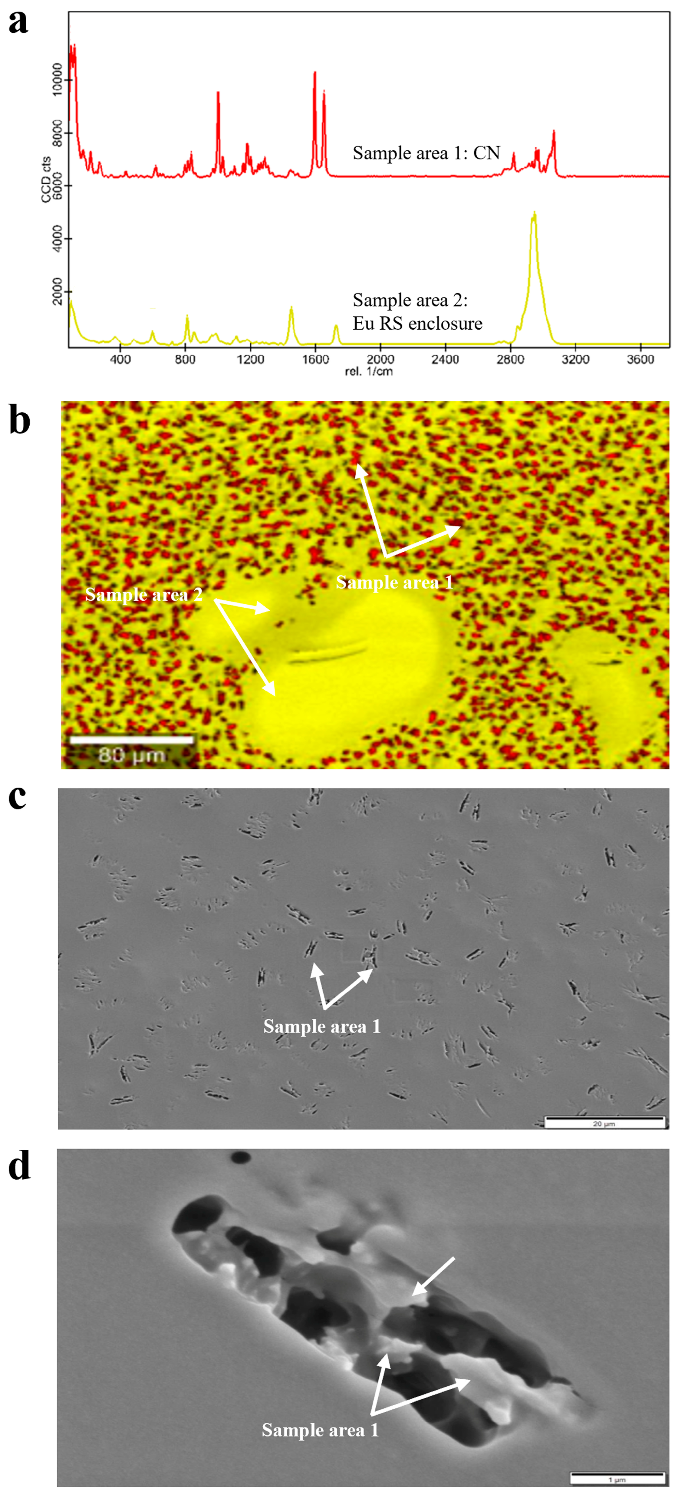 Pharmaceutics 17 00662 g007