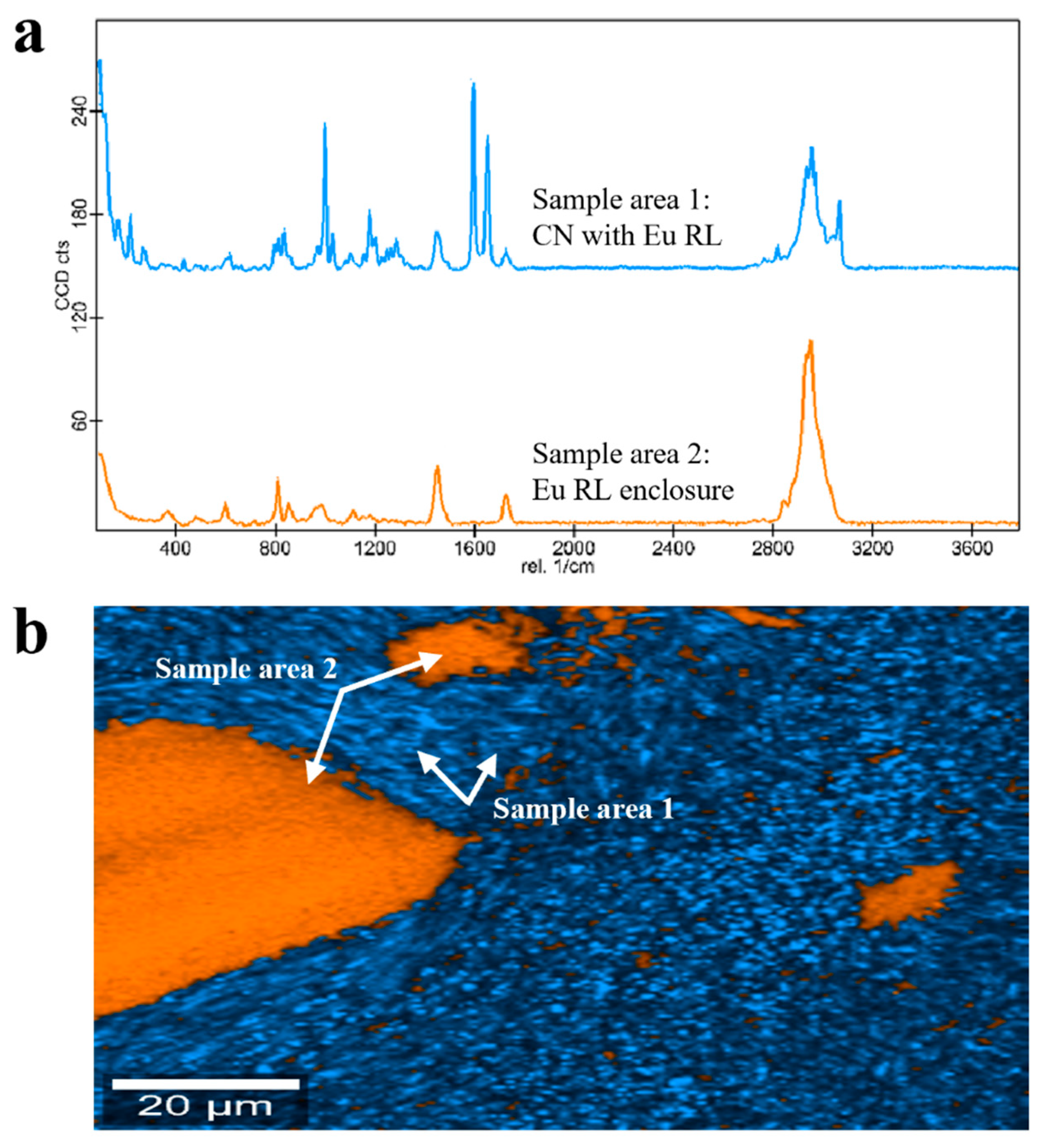 Pharmaceutics 17 00662 g008