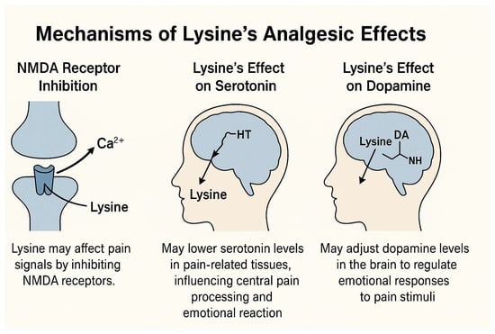Pharmaceutics 17 00666 g002