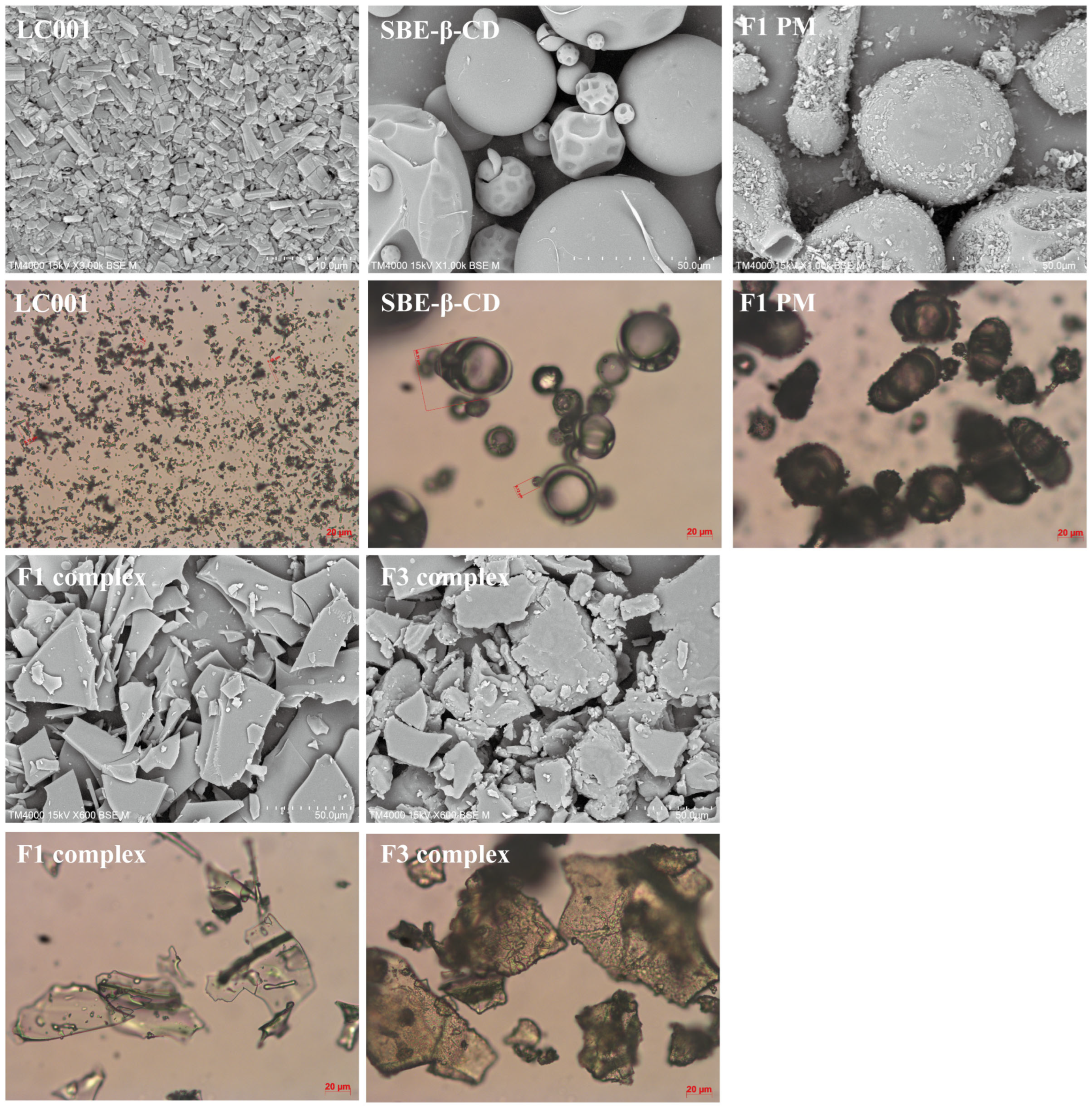 Pharmaceutics 17 00671 g008