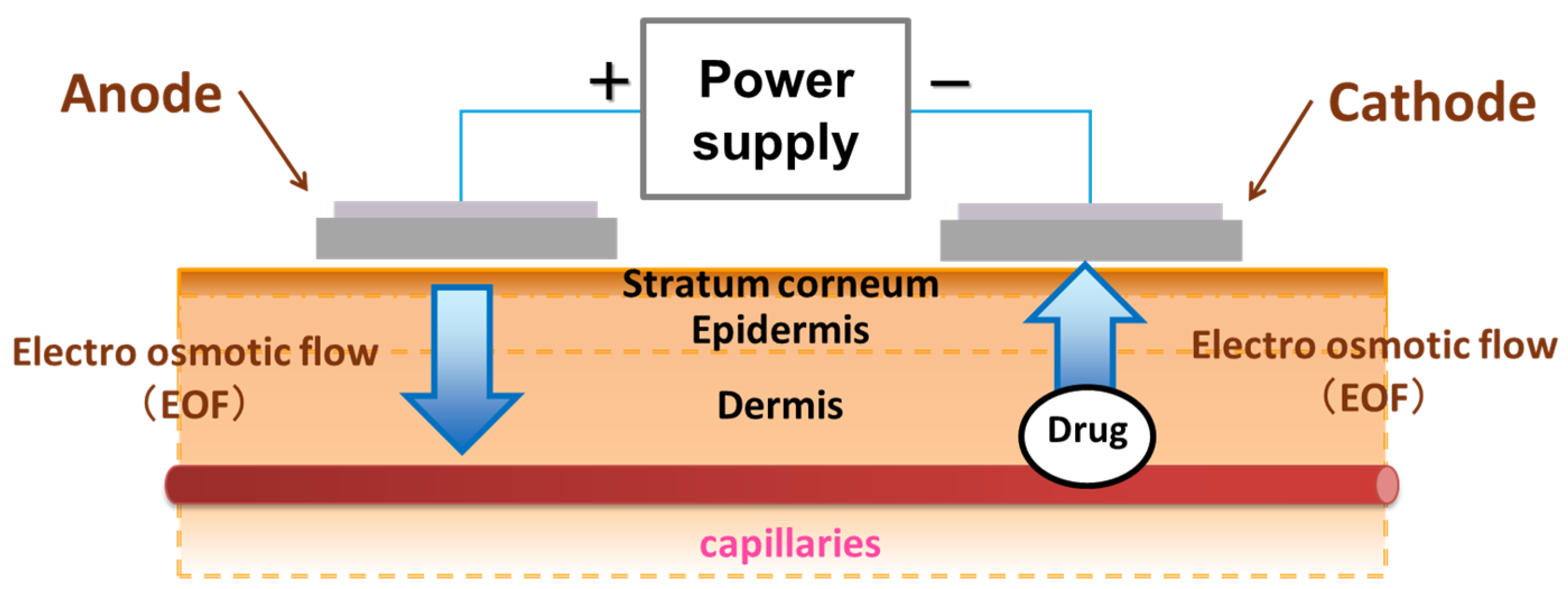 Pharmaceutics 17 00677 g001