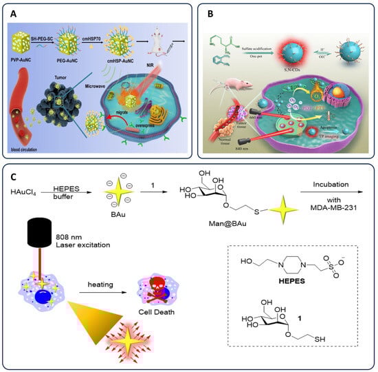 Pharmaceutics 17 00682 g002