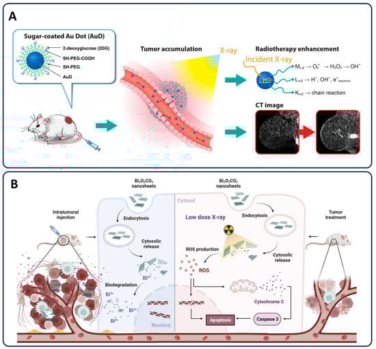 Pharmaceutics 17 00682 g006