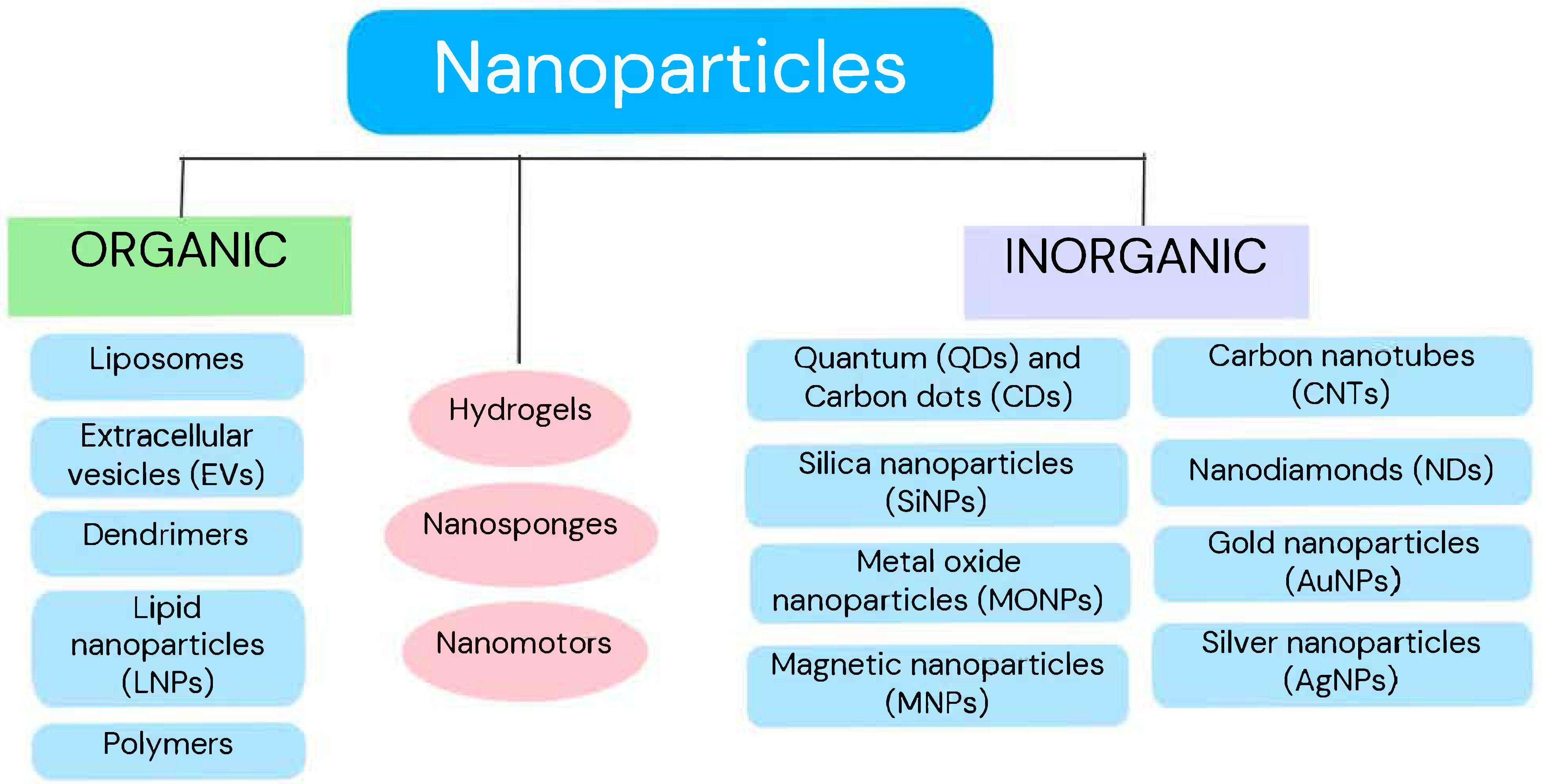 Pharmaceutics 17 00688 g001