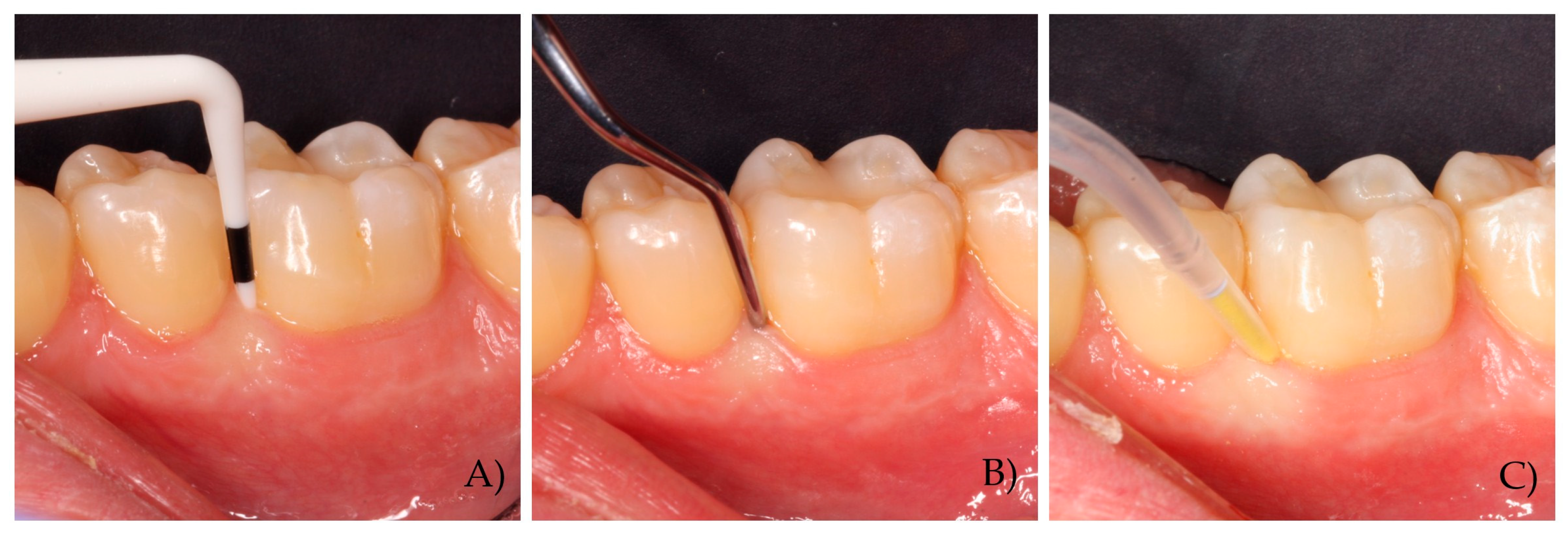 Pharmaceutics 17 00697 g002
