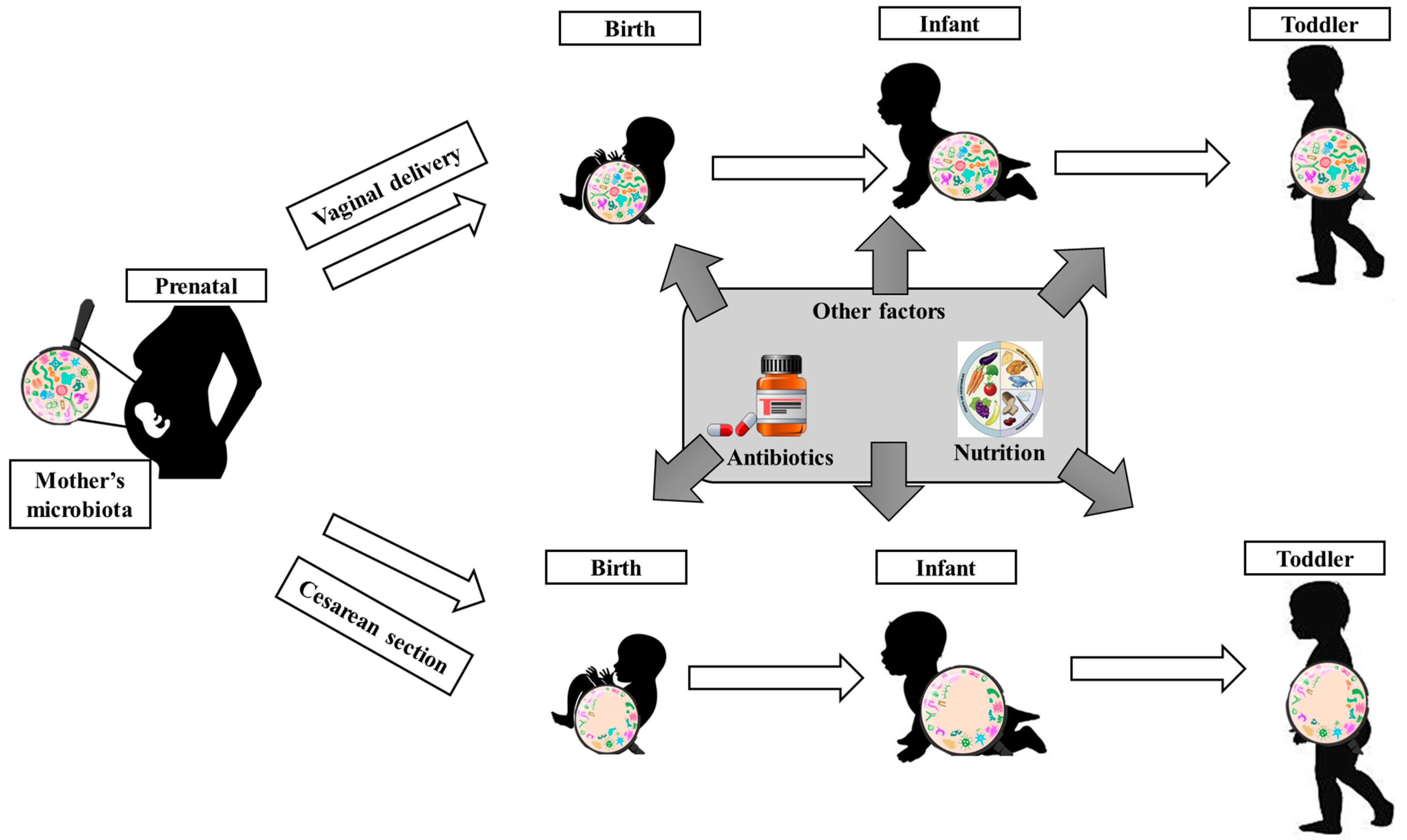 Pharmaceutics 17 00707 g001