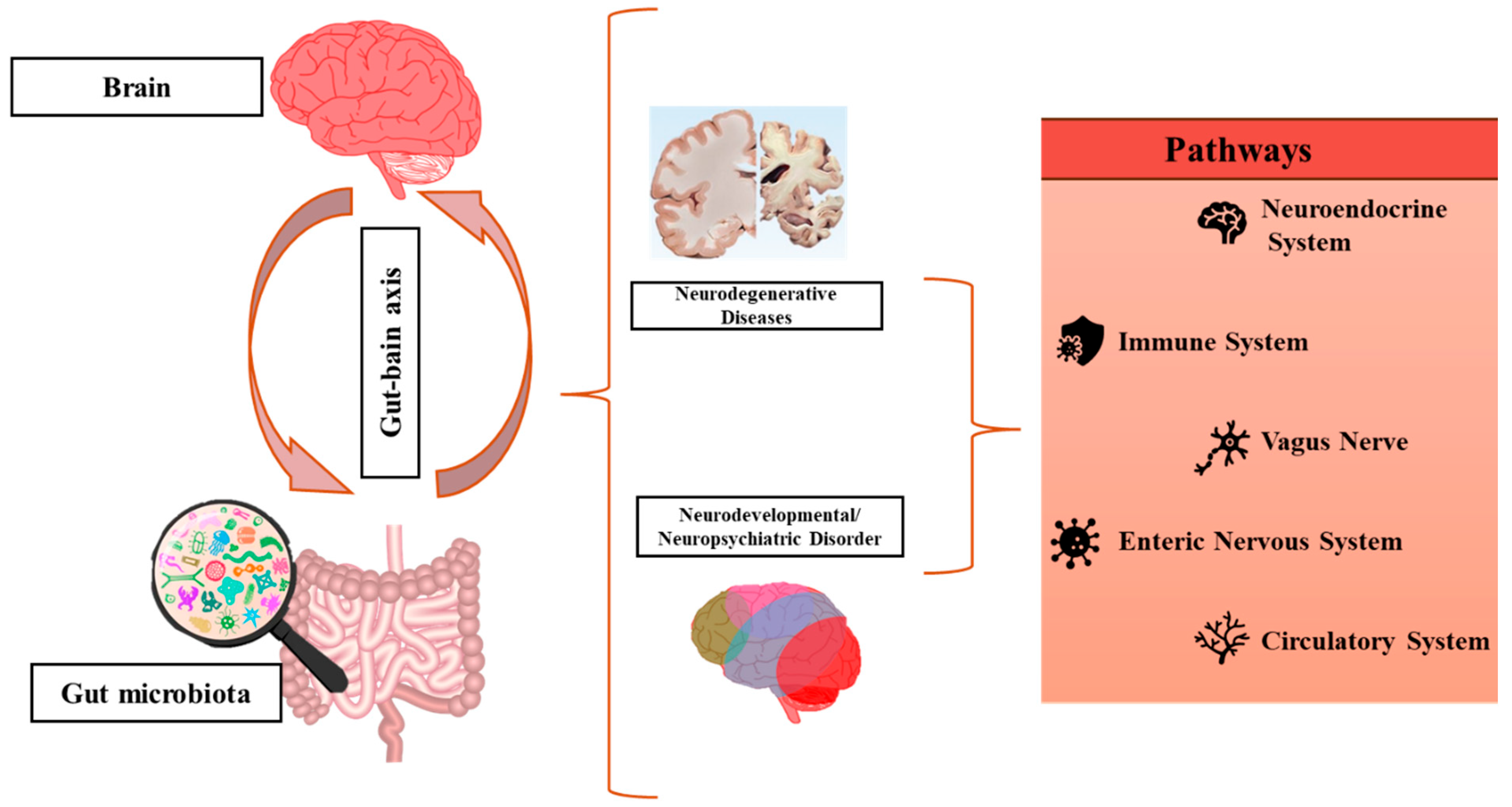 Pharmaceutics 17 00707 g002