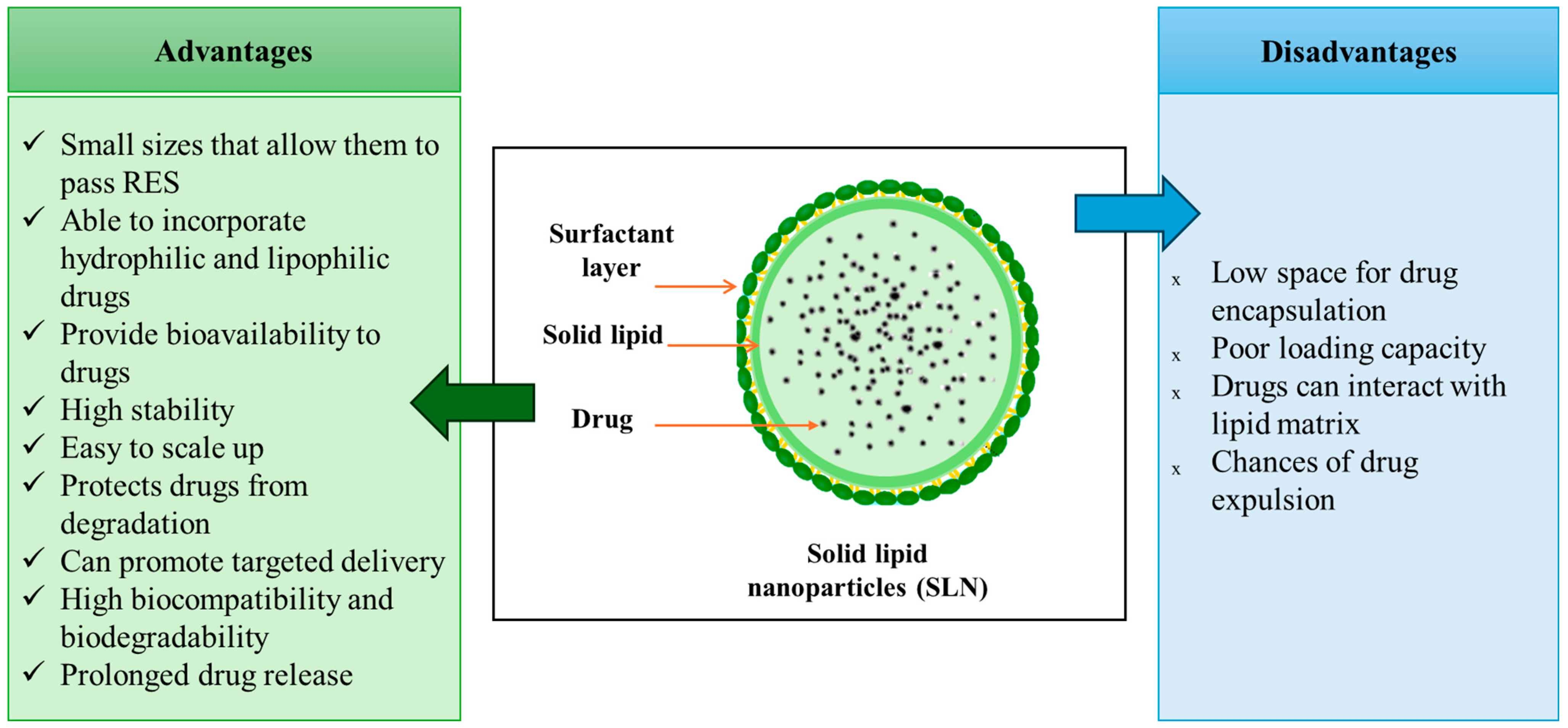 Pharmaceutics 17 00707 g005