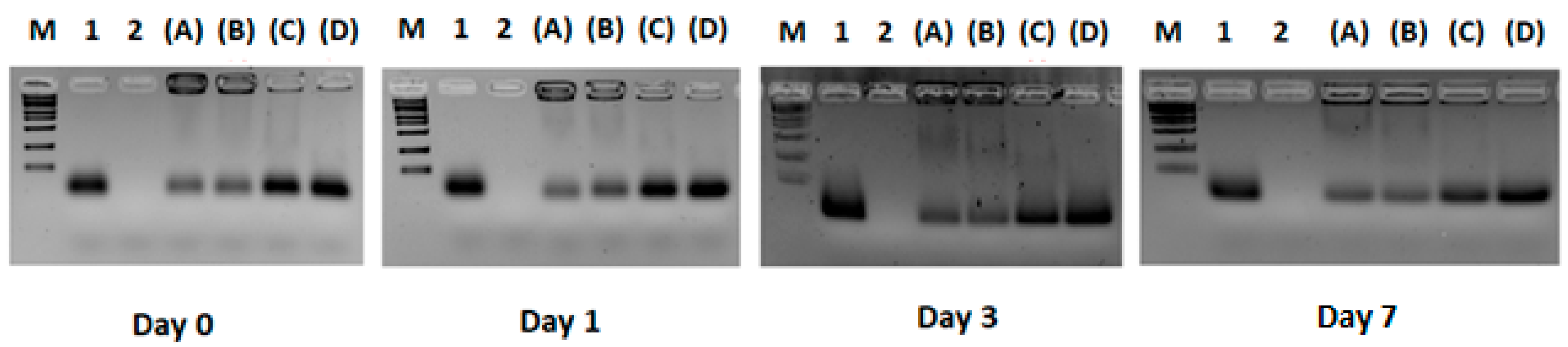 Pharmaceutics 17 00710 g001 Pharmaceutics 17 00710 g001