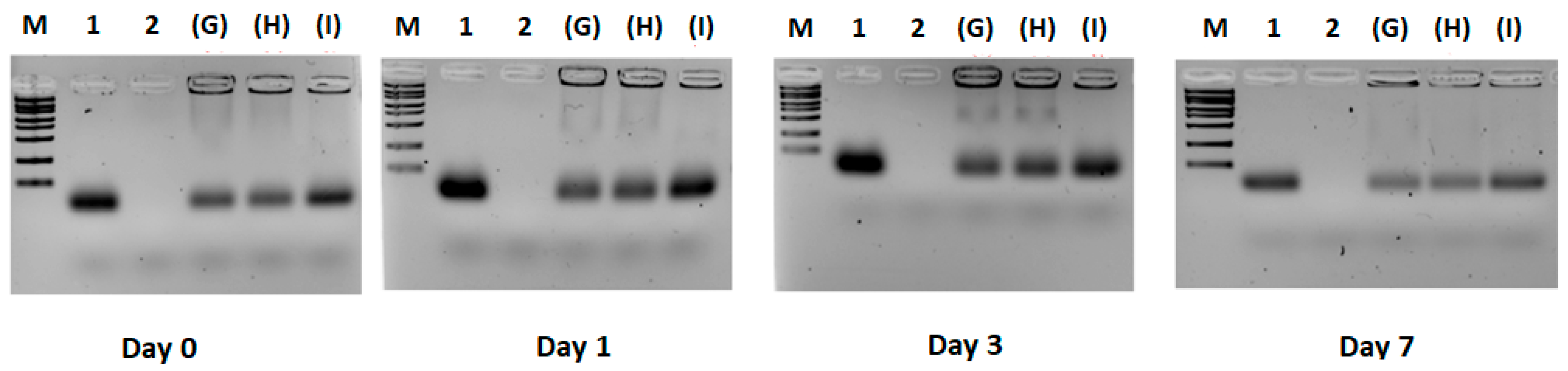 Pharmaceutics 17 00710 g004 Pharmaceutics 17 00710 g004