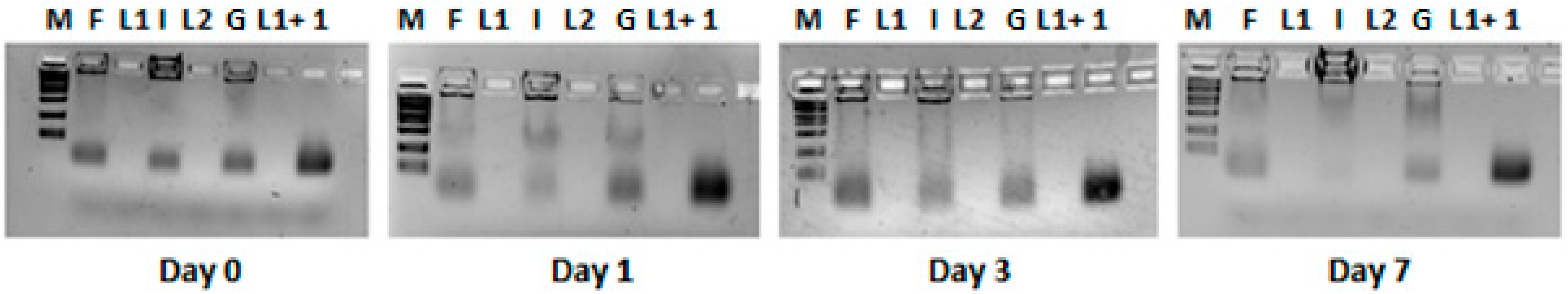 Pharmaceutics 17 00710 g006 Pharmaceutics 17 00710 g006