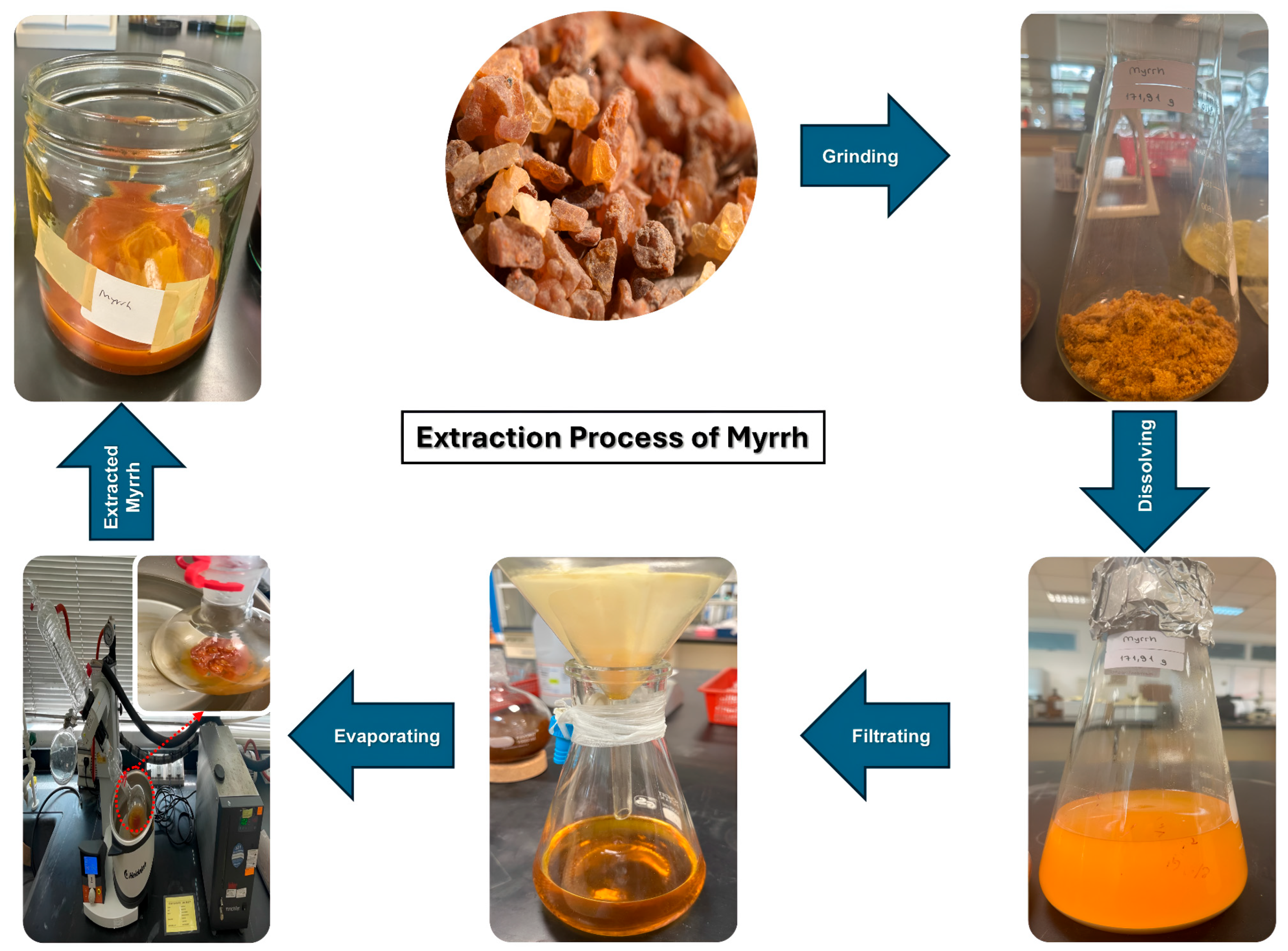 Pharmaceutics 17 00717 g001