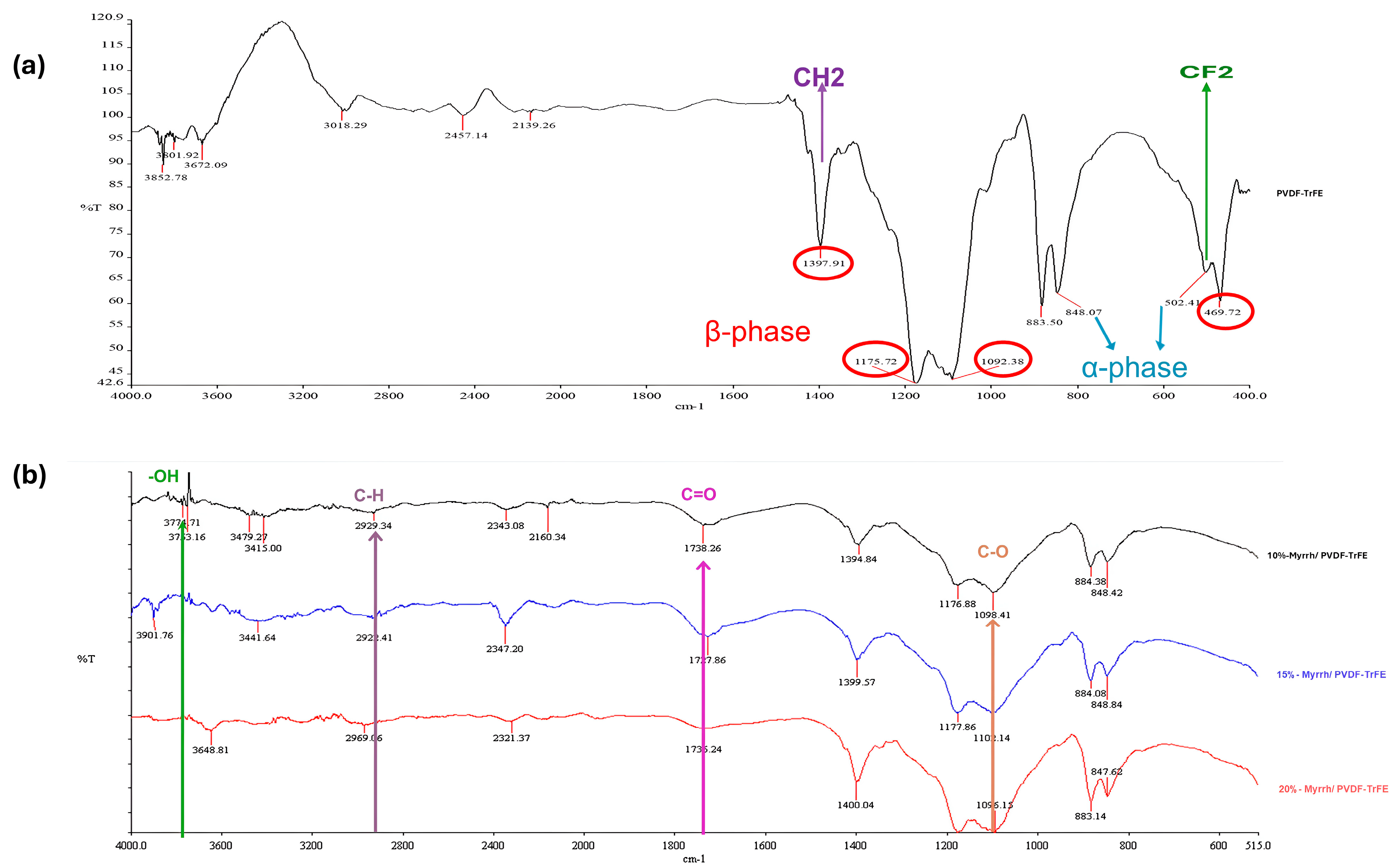 Pharmaceutics 17 00717 g005