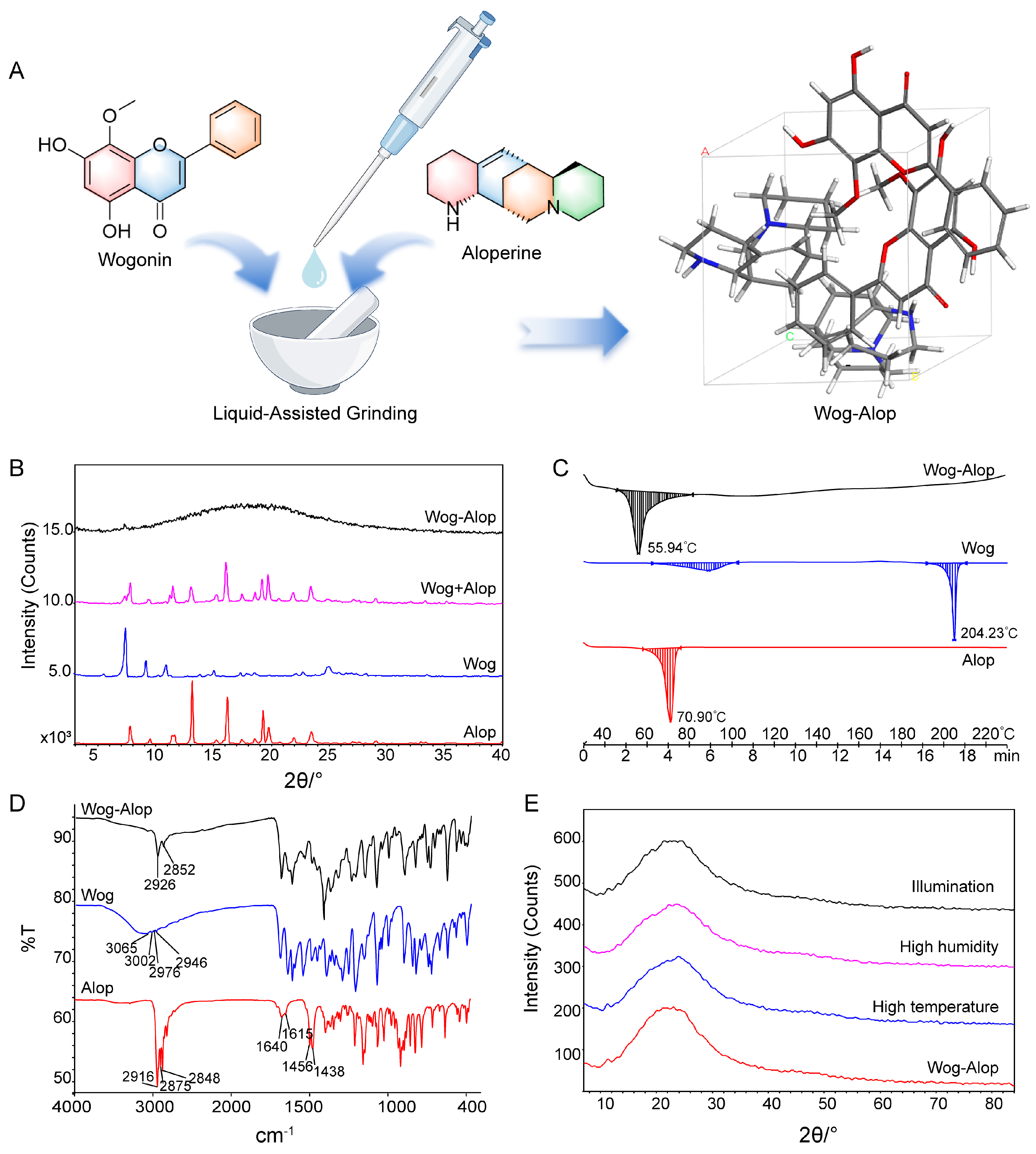 Pharmaceutics 17 00724 g001
