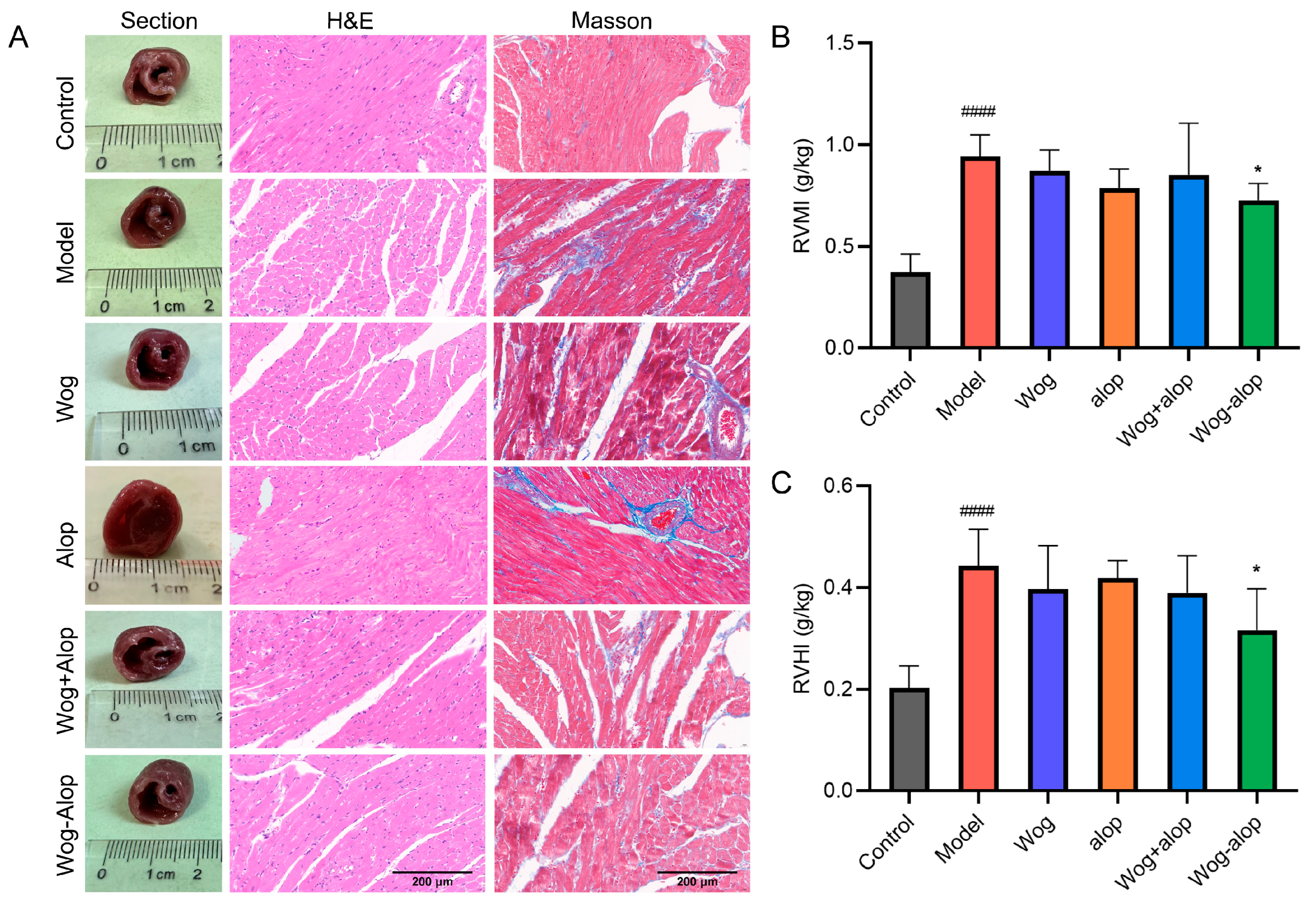 Pharmaceutics 17 00724 g006
