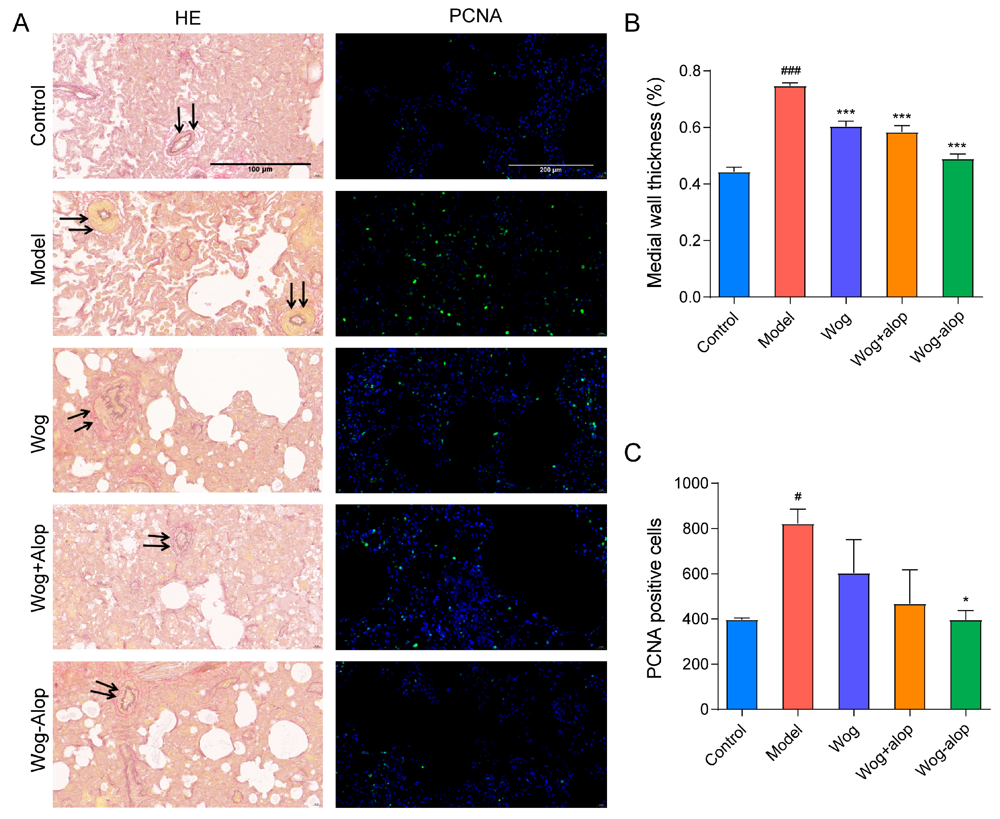 Pharmaceutics 17 00724 g007