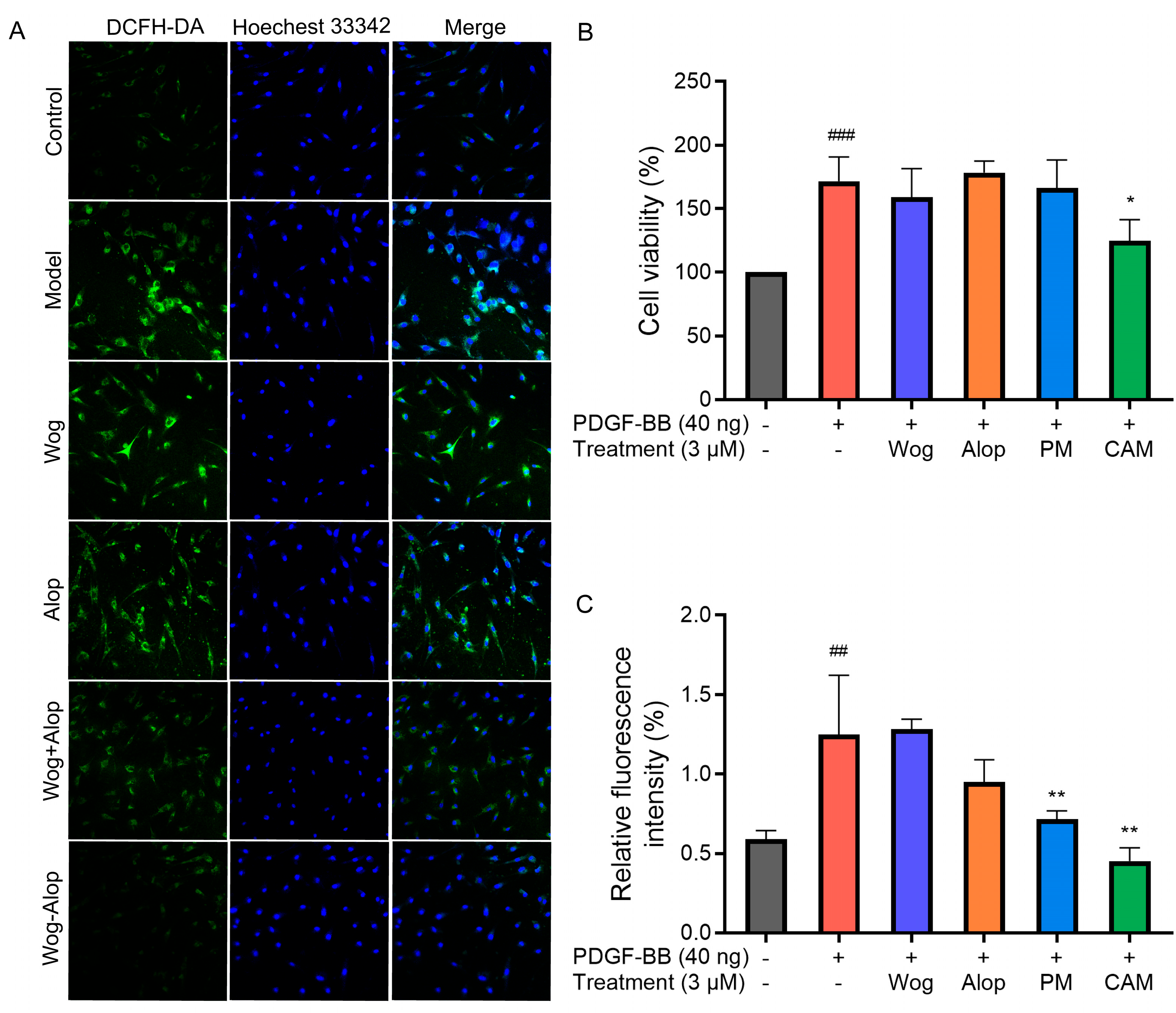 Pharmaceutics 17 00724 g008