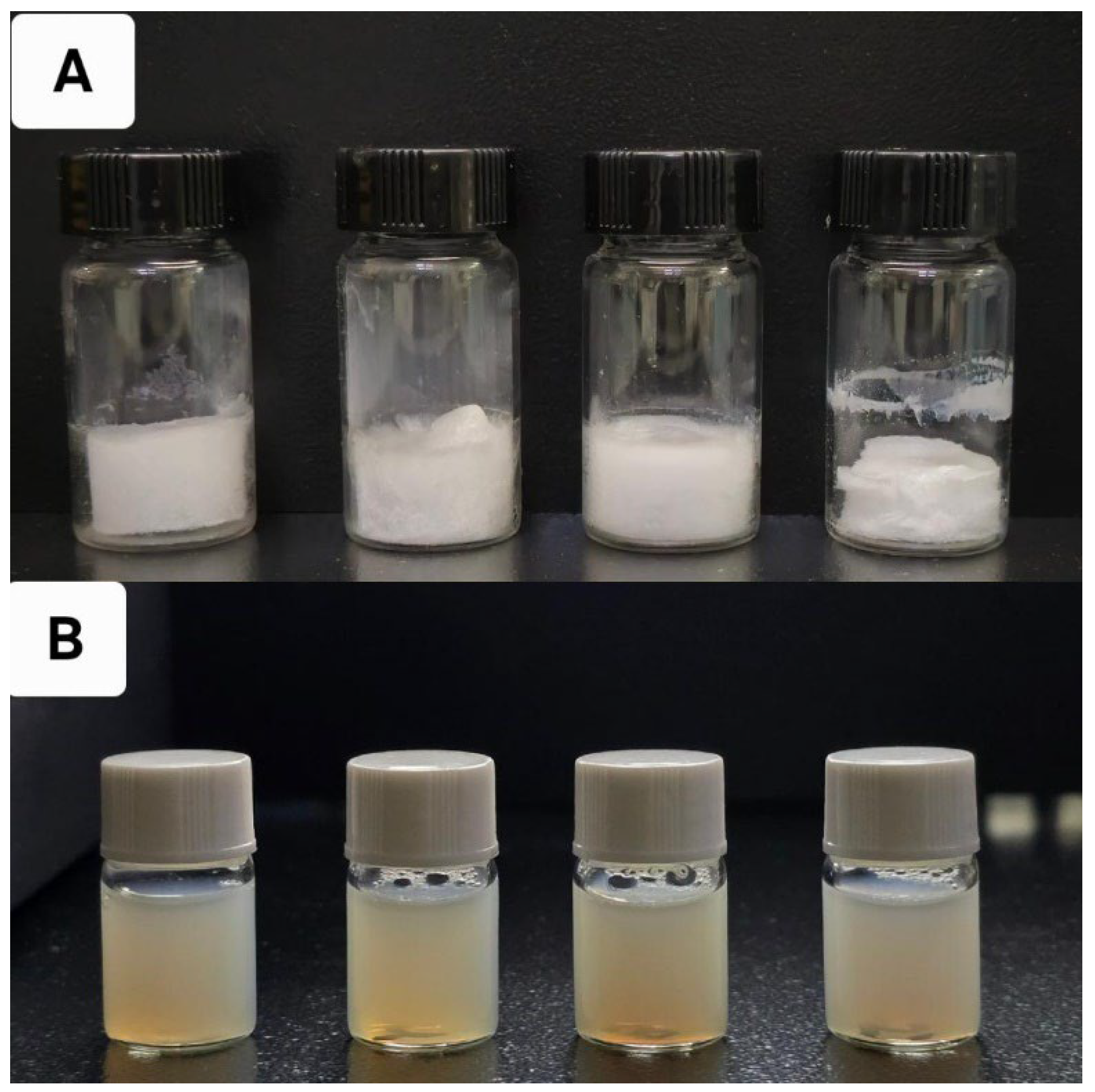 Pharmaceutics 17 00729 g002 Pharmaceutics 17 00729 g002