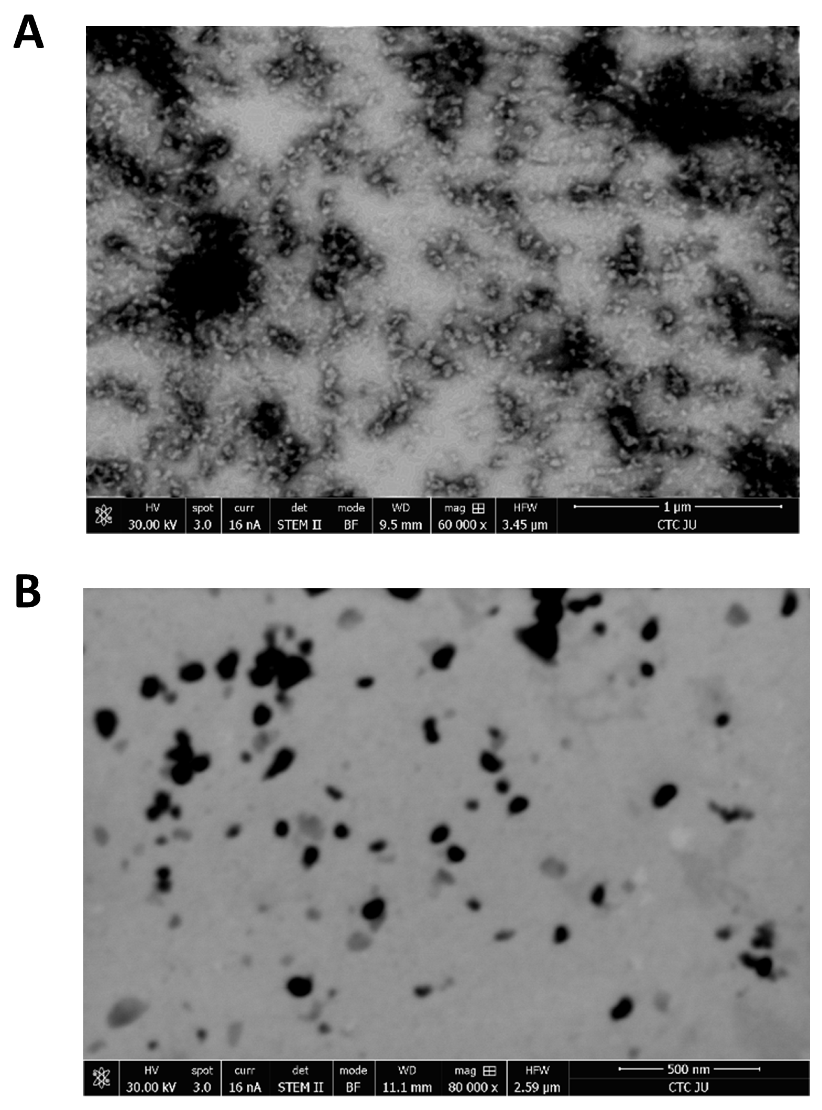 Pharmaceutics 17 00729 g004 Pharmaceutics 17 00729 g004