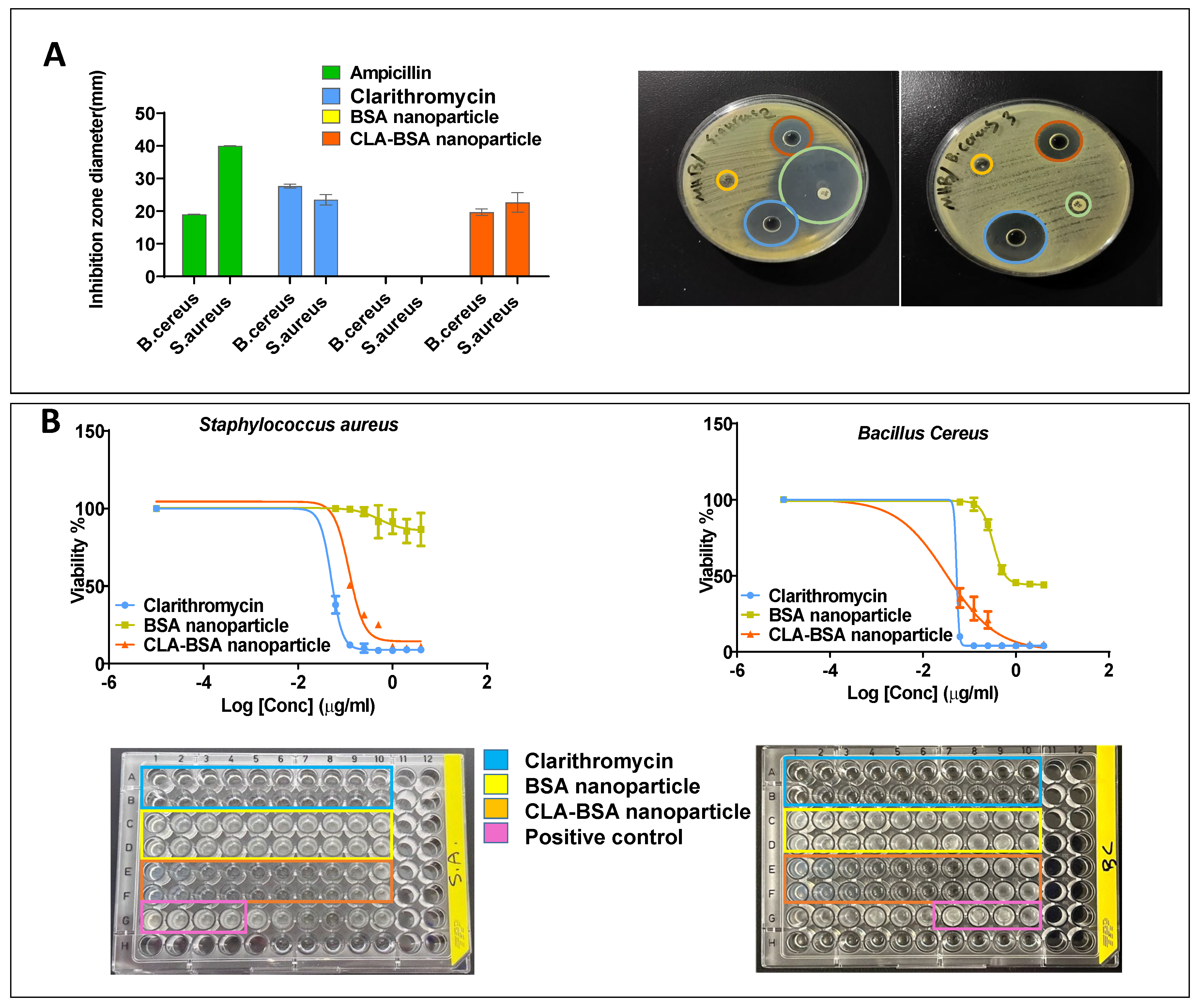 Pharmaceutics 17 00729 g011 Pharmaceutics 17 00729 g011