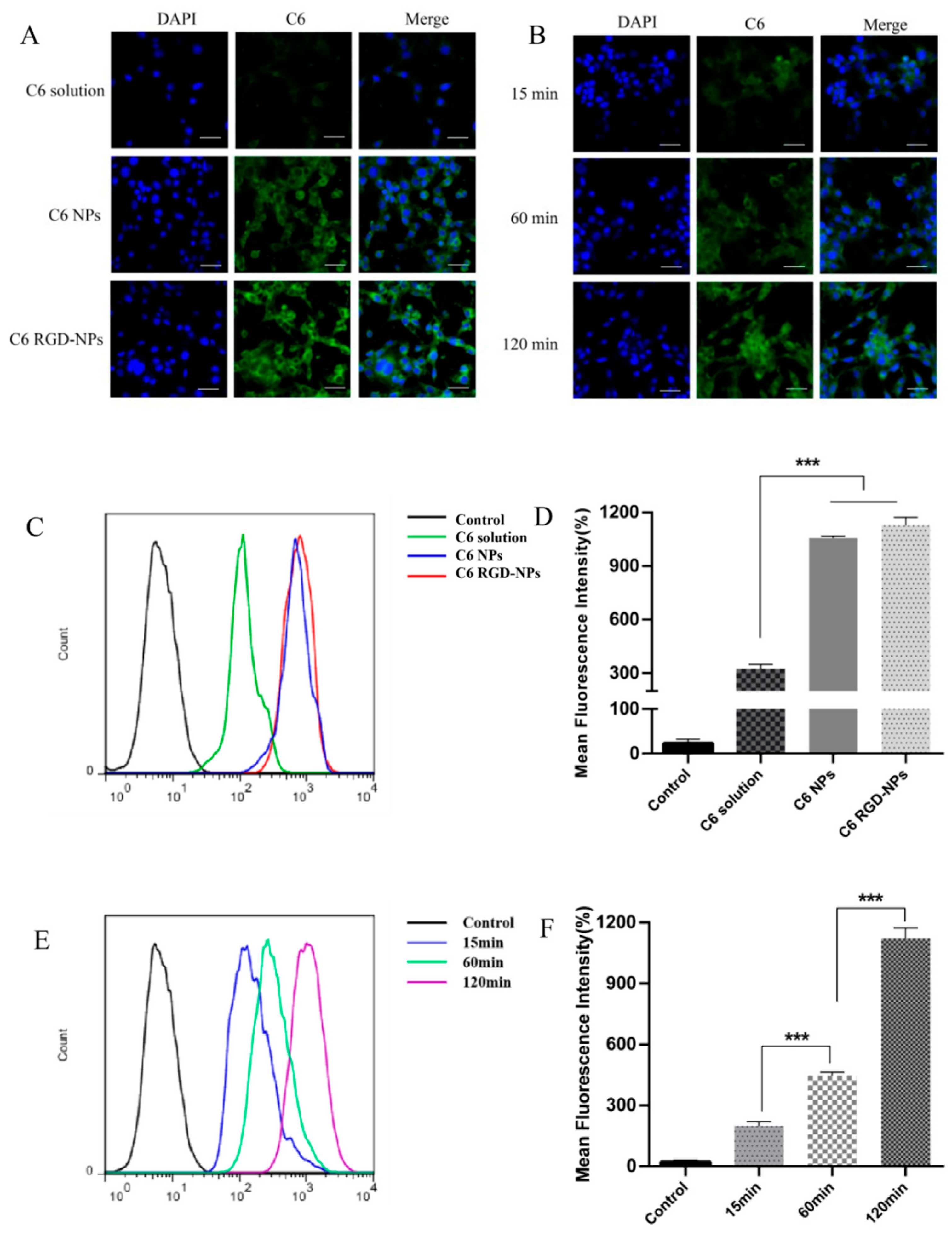 Pharmaceutics 17 00733 g010