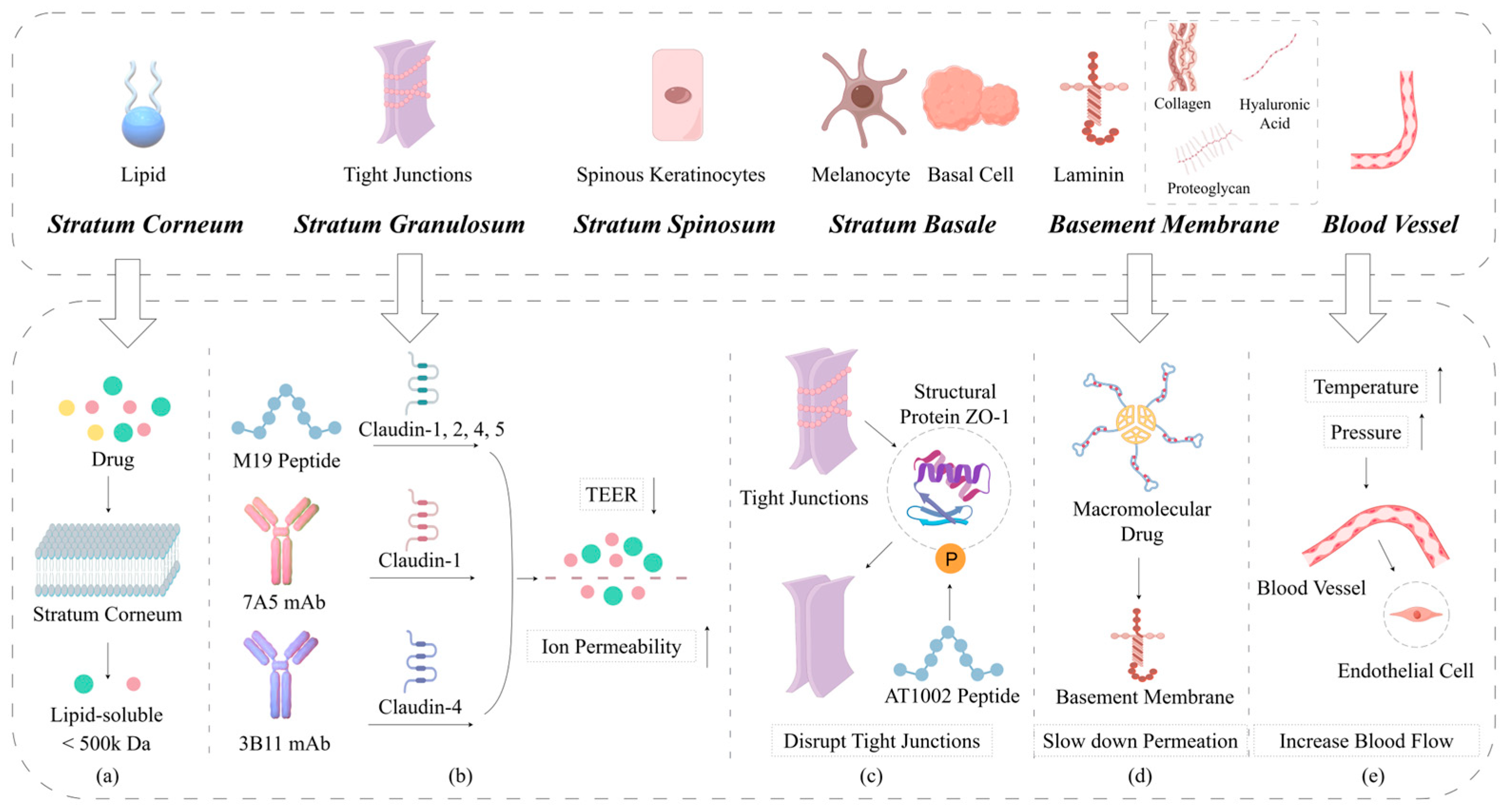 Pharmaceutics 17 00746 g001