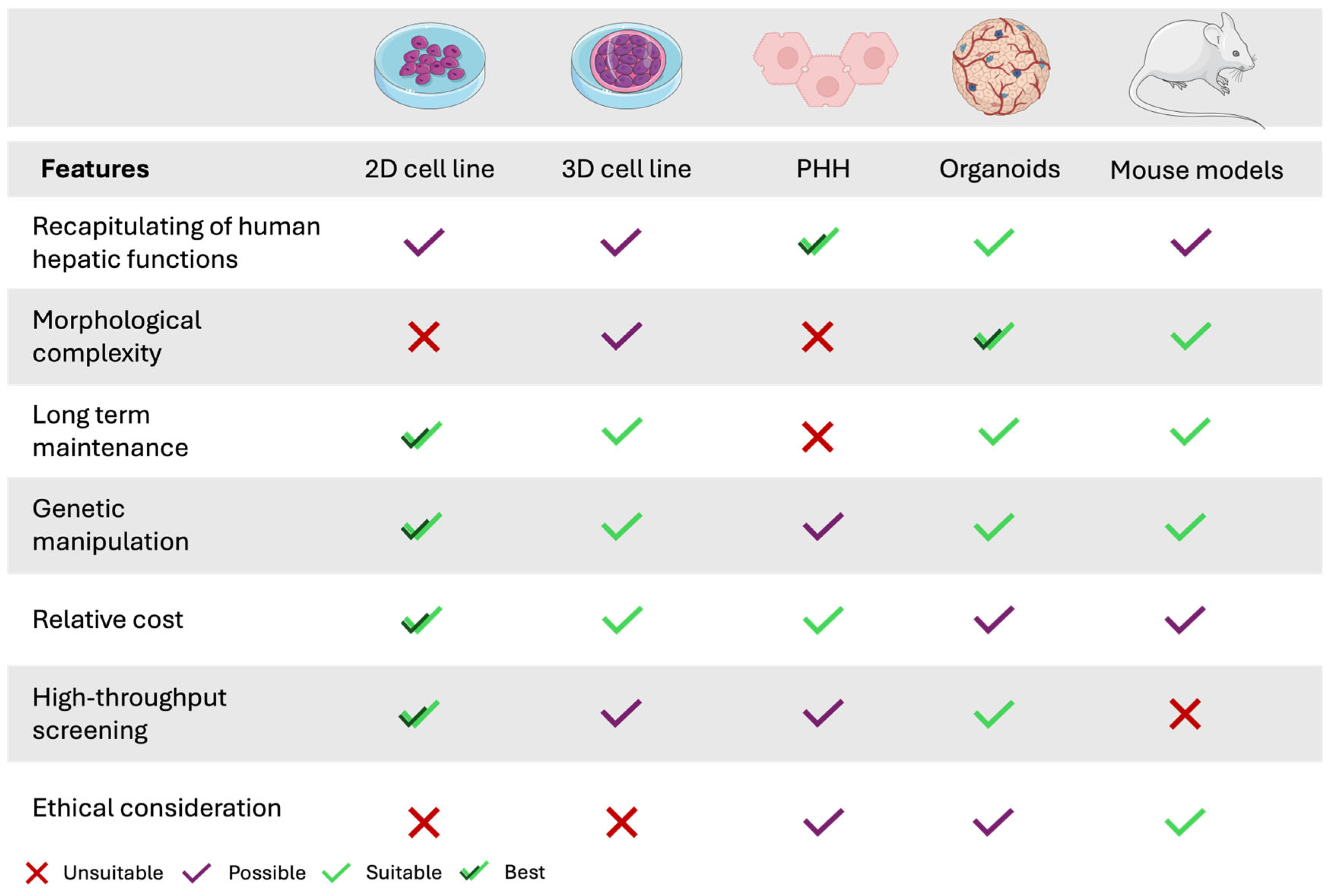 Pharmaceutics 17 00747 g002
