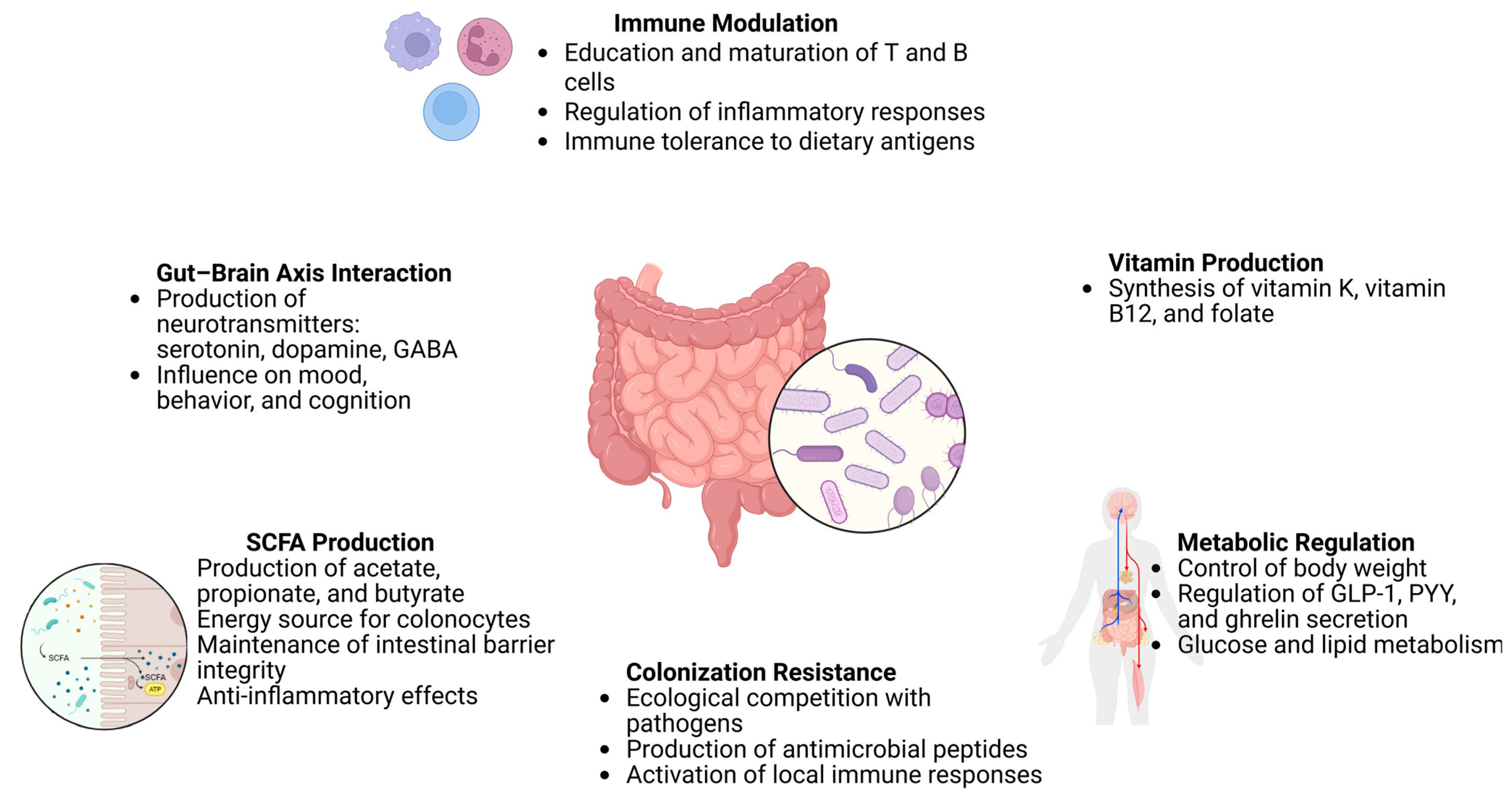 Pharmaceutics 17 00752 g003