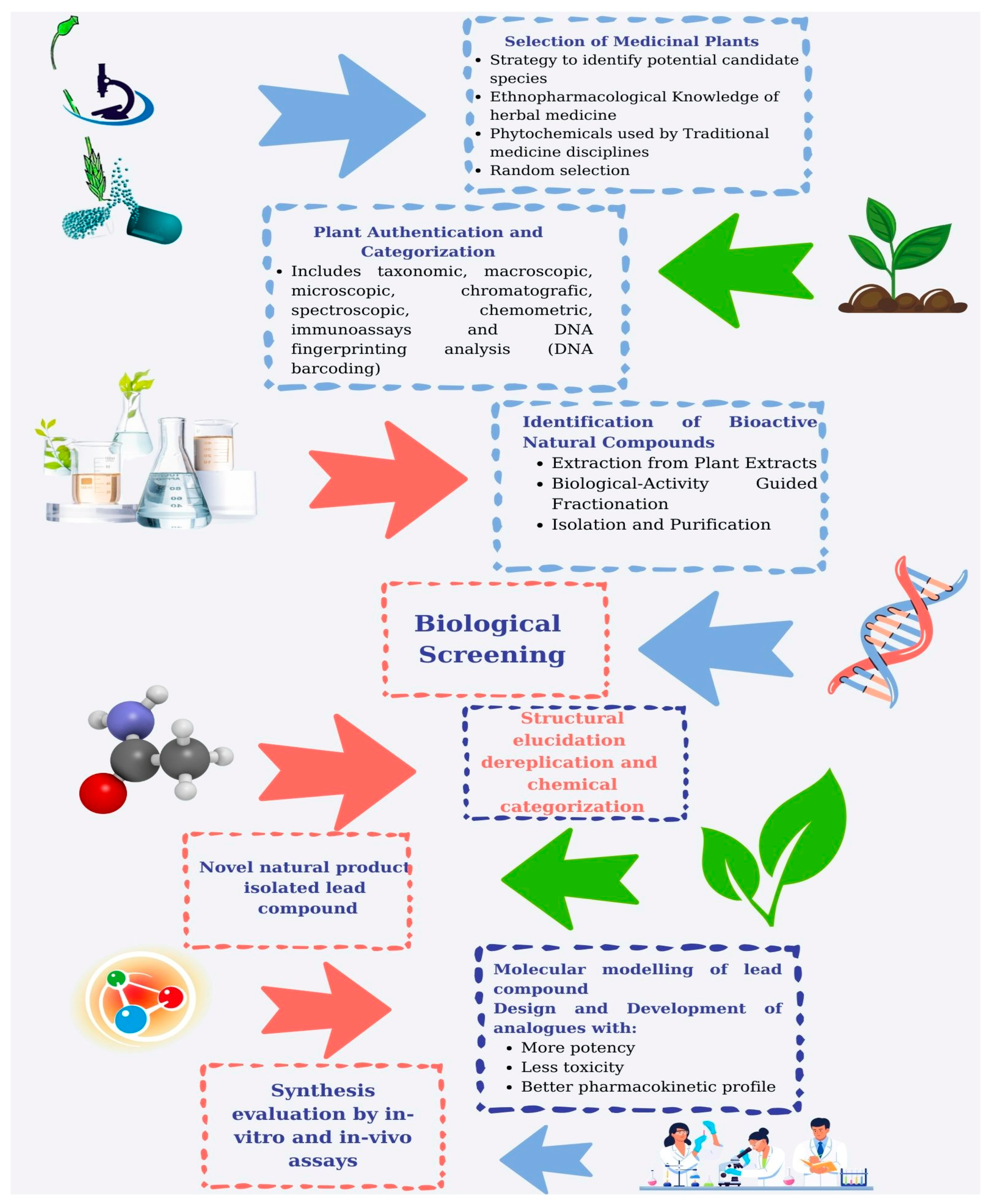 Pharmaceutics 17 00754 g002