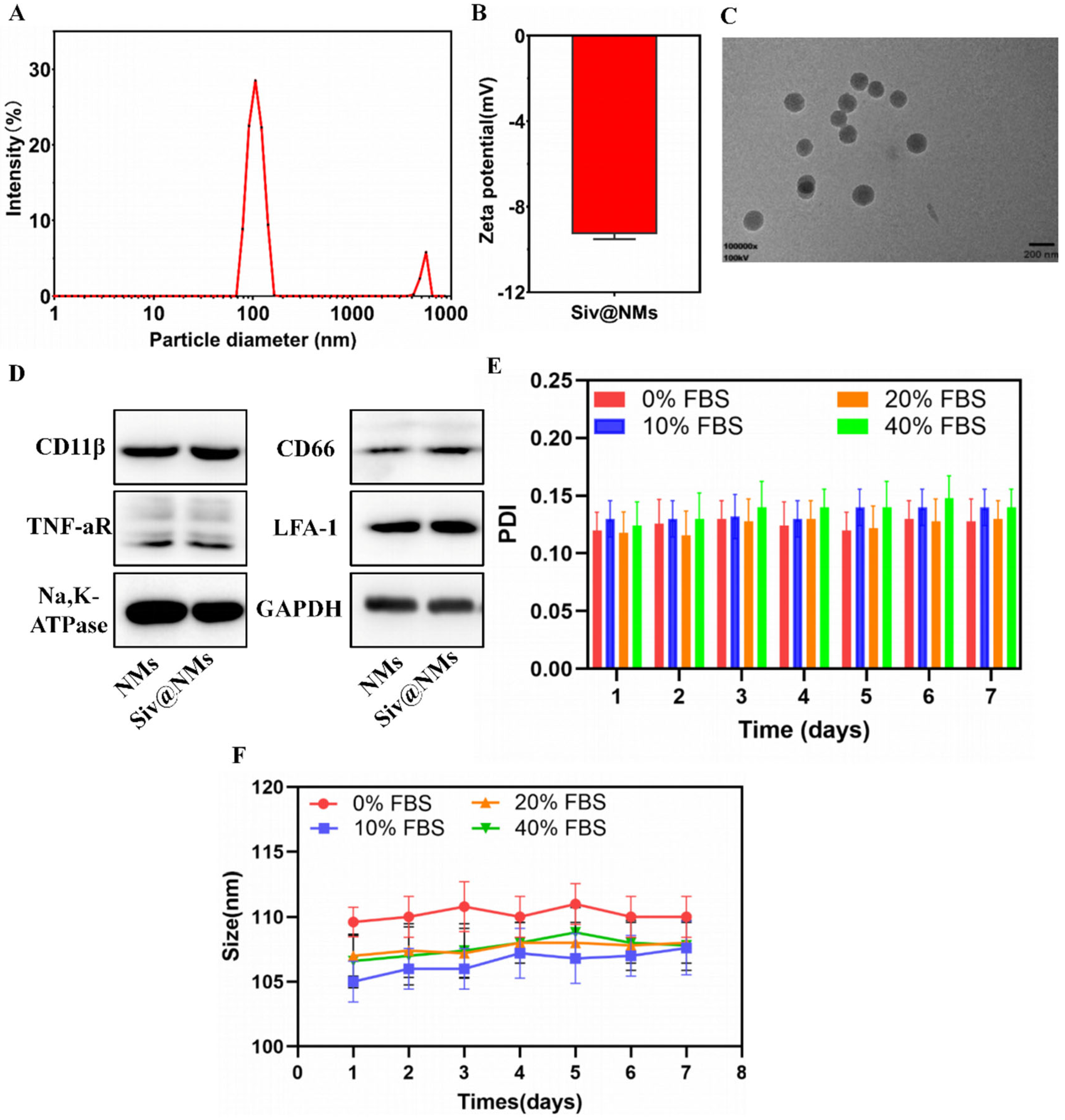 Pharmaceutics 17 00766 g001