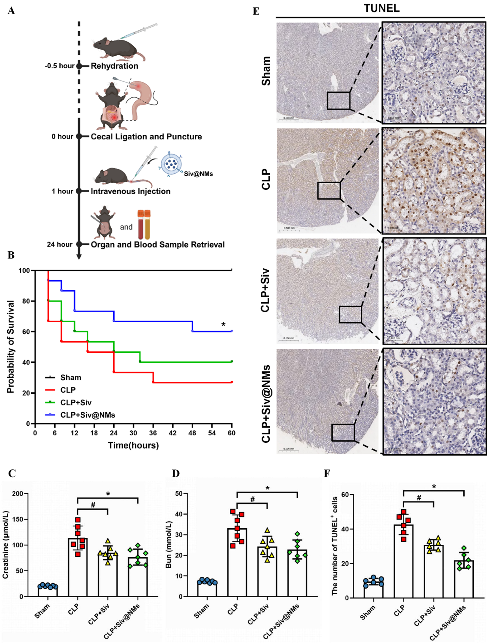 Pharmaceutics 17 00766 g003