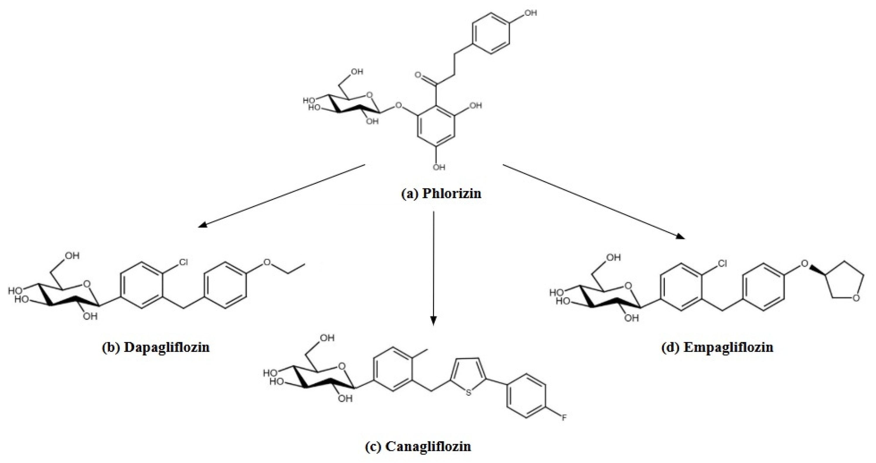 Pharmaceutics 17 00768 g004