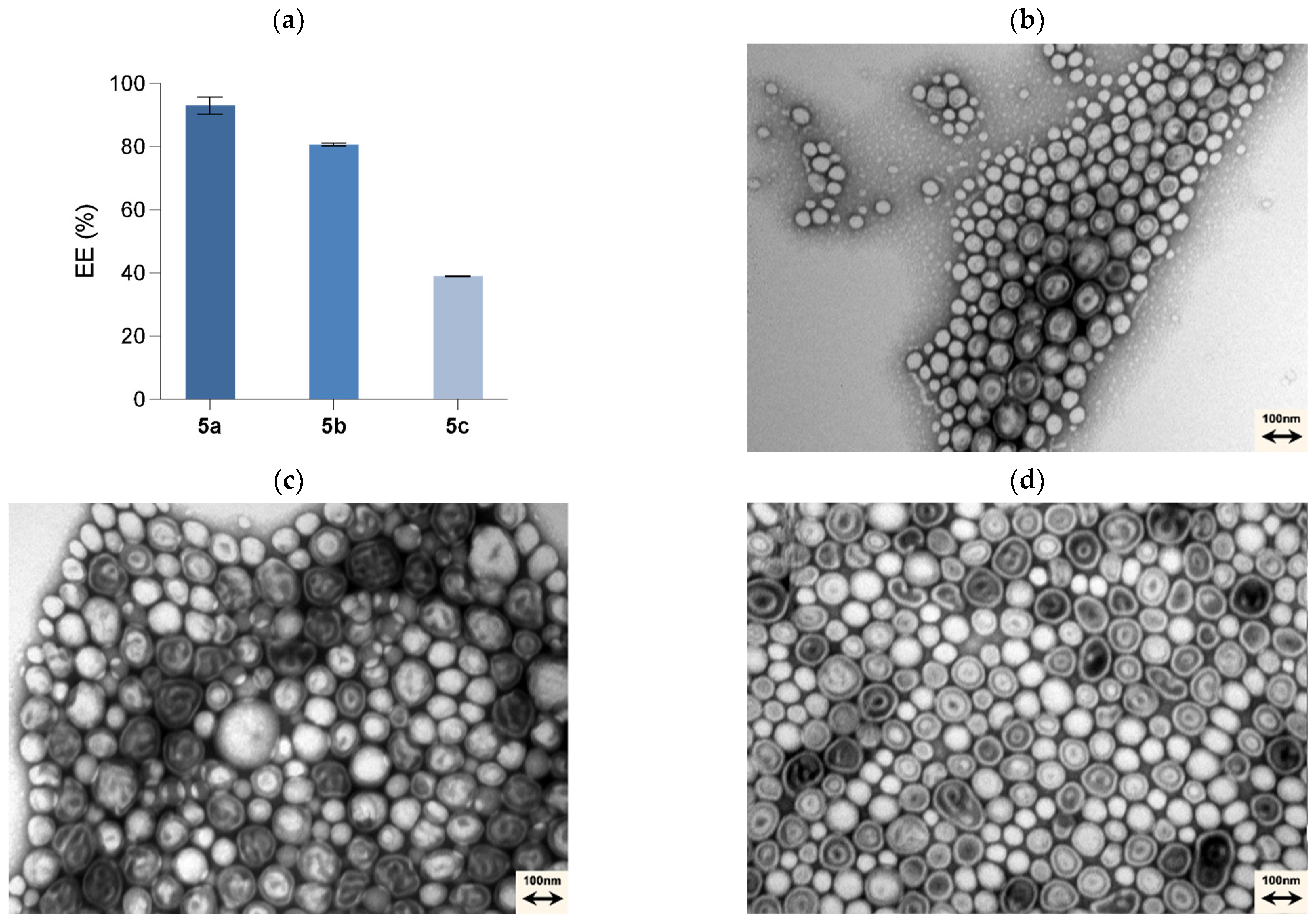 Pharmaceutics 17 00771 g003a