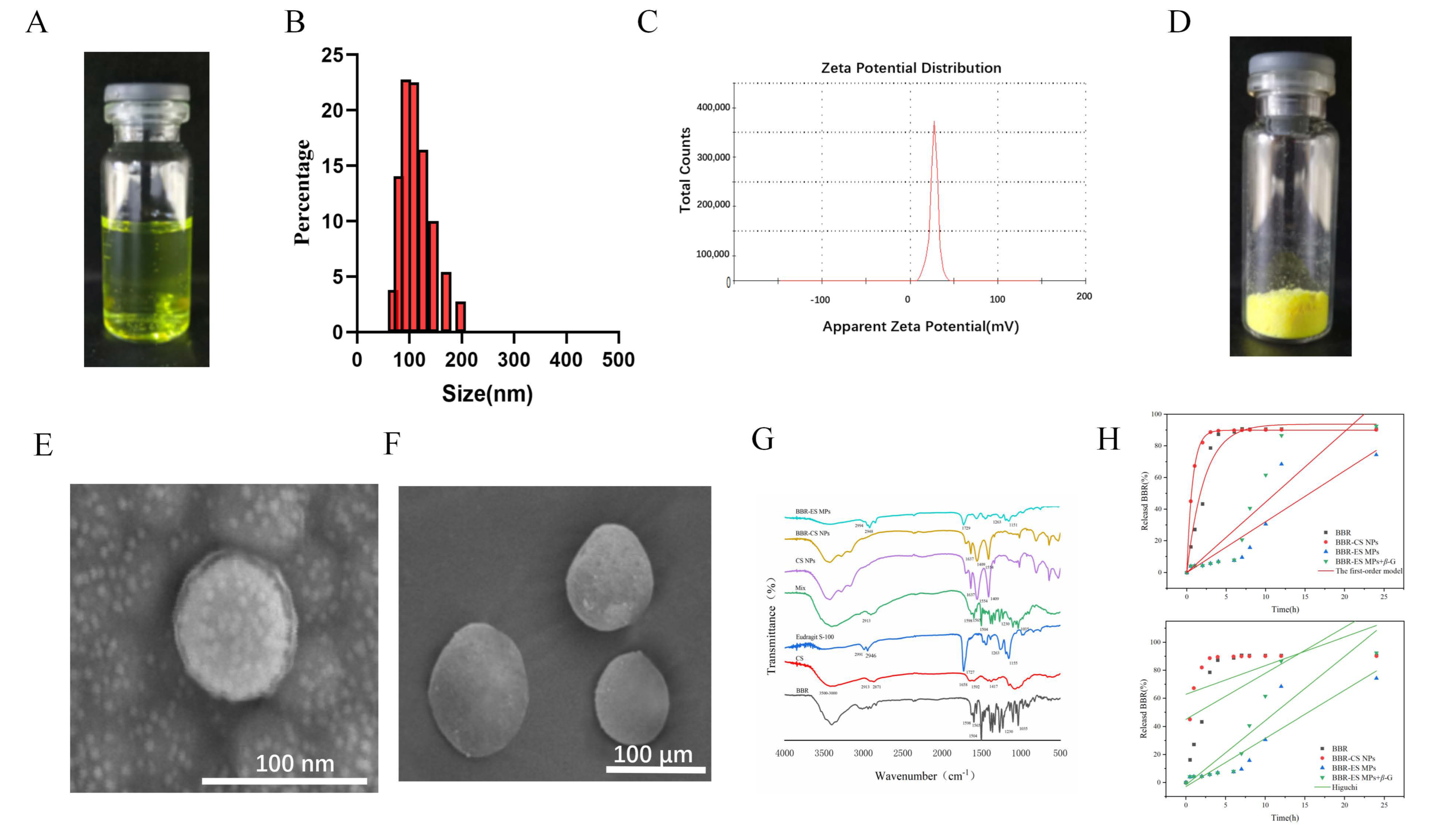 Pharmaceutics 17 00778 g001a Pharmaceutics 17 00778 g001a