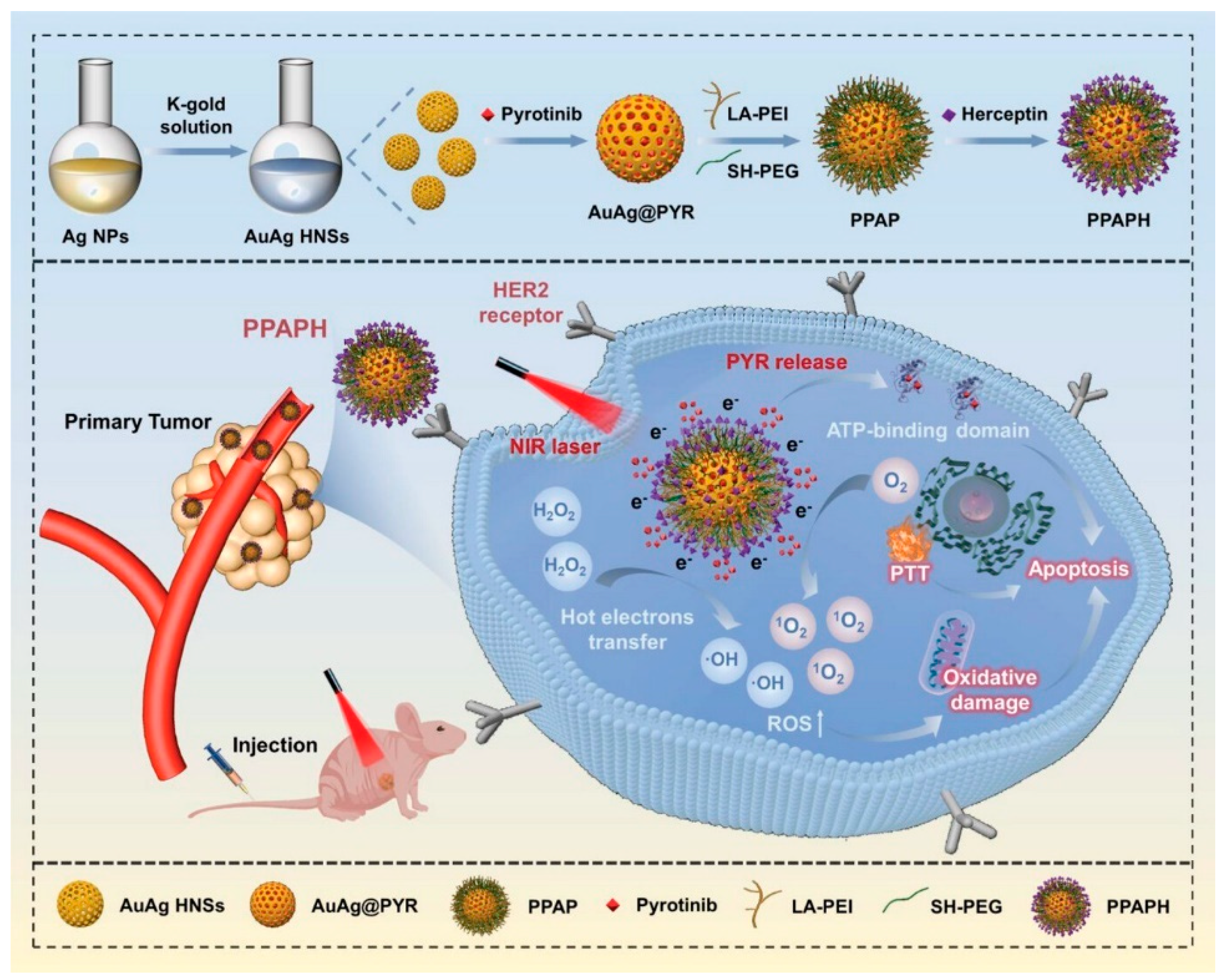 Pharmaceutics 17 00783 g004 Pharmaceutics 17 00783 g004