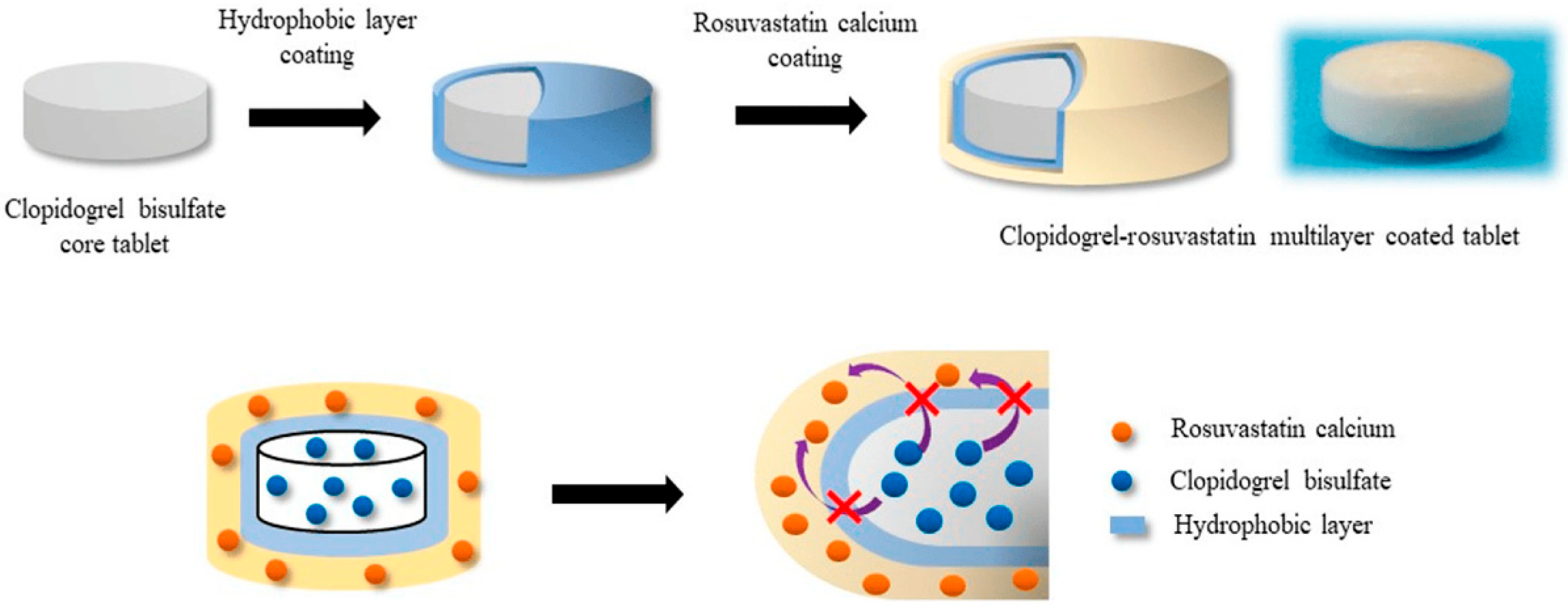 Pharmaceutics 17 00784 g002