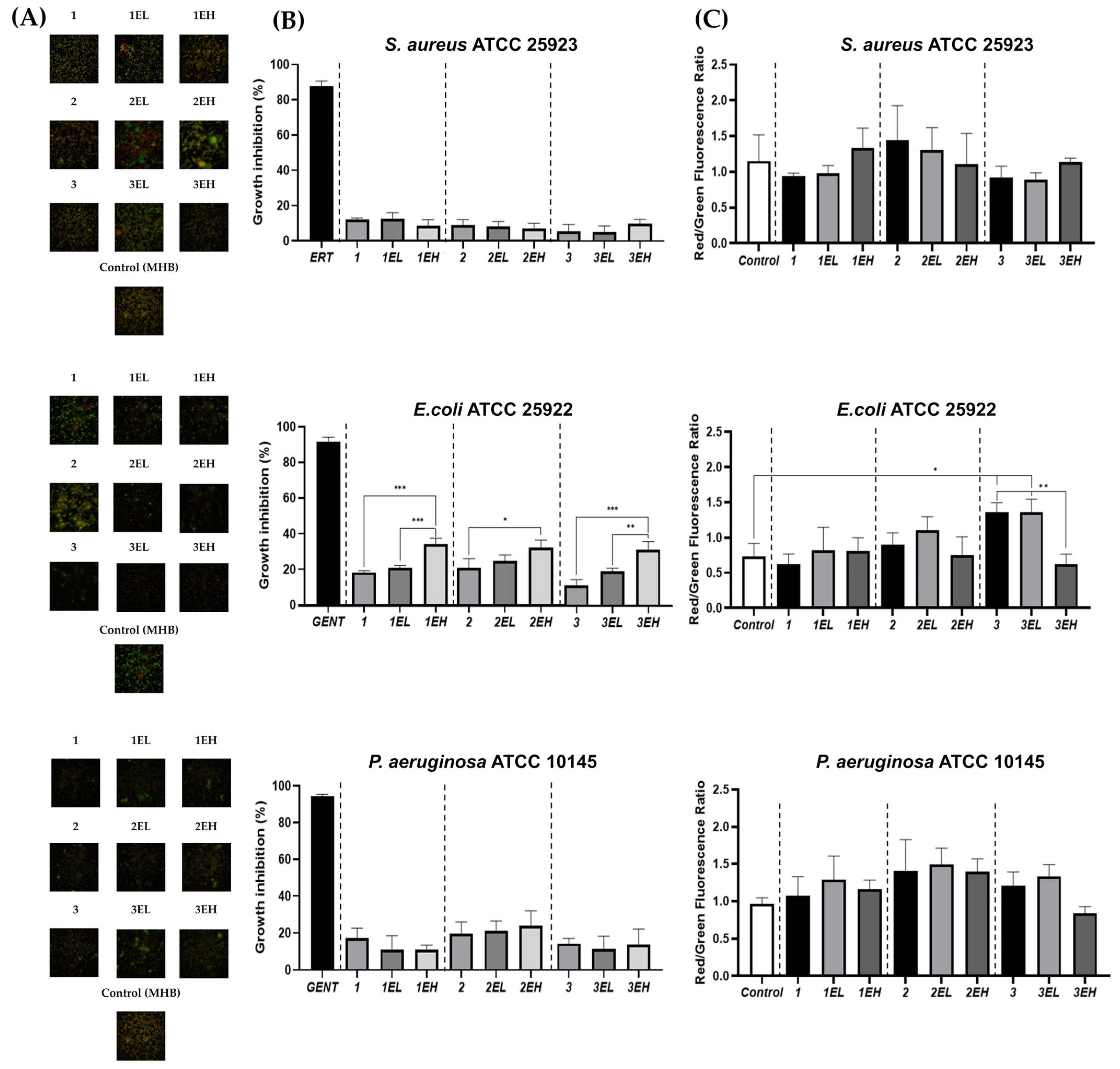 Pharmaceutics 17 00790 g008
