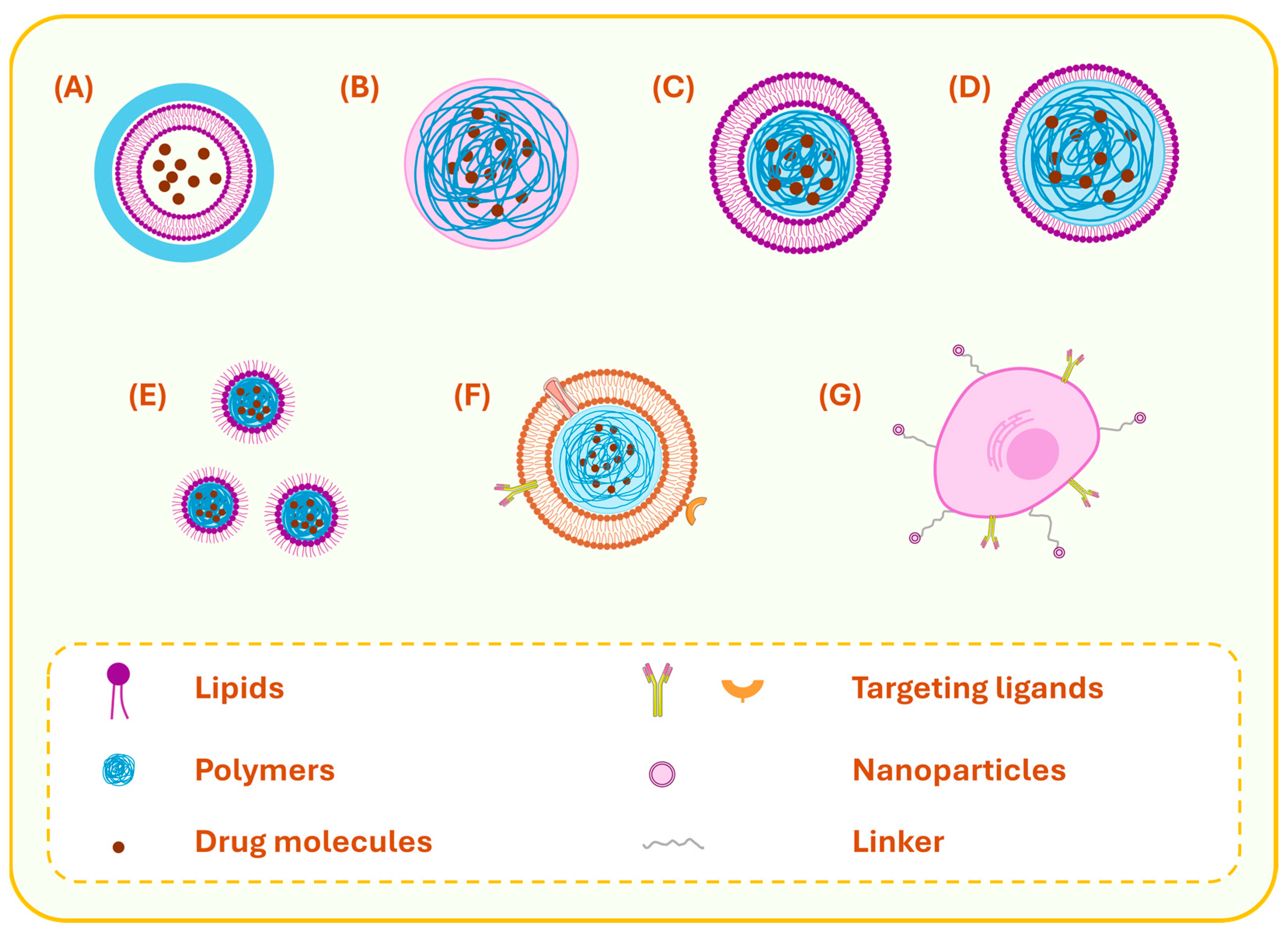 Pharmaceutics 17 00797 g002