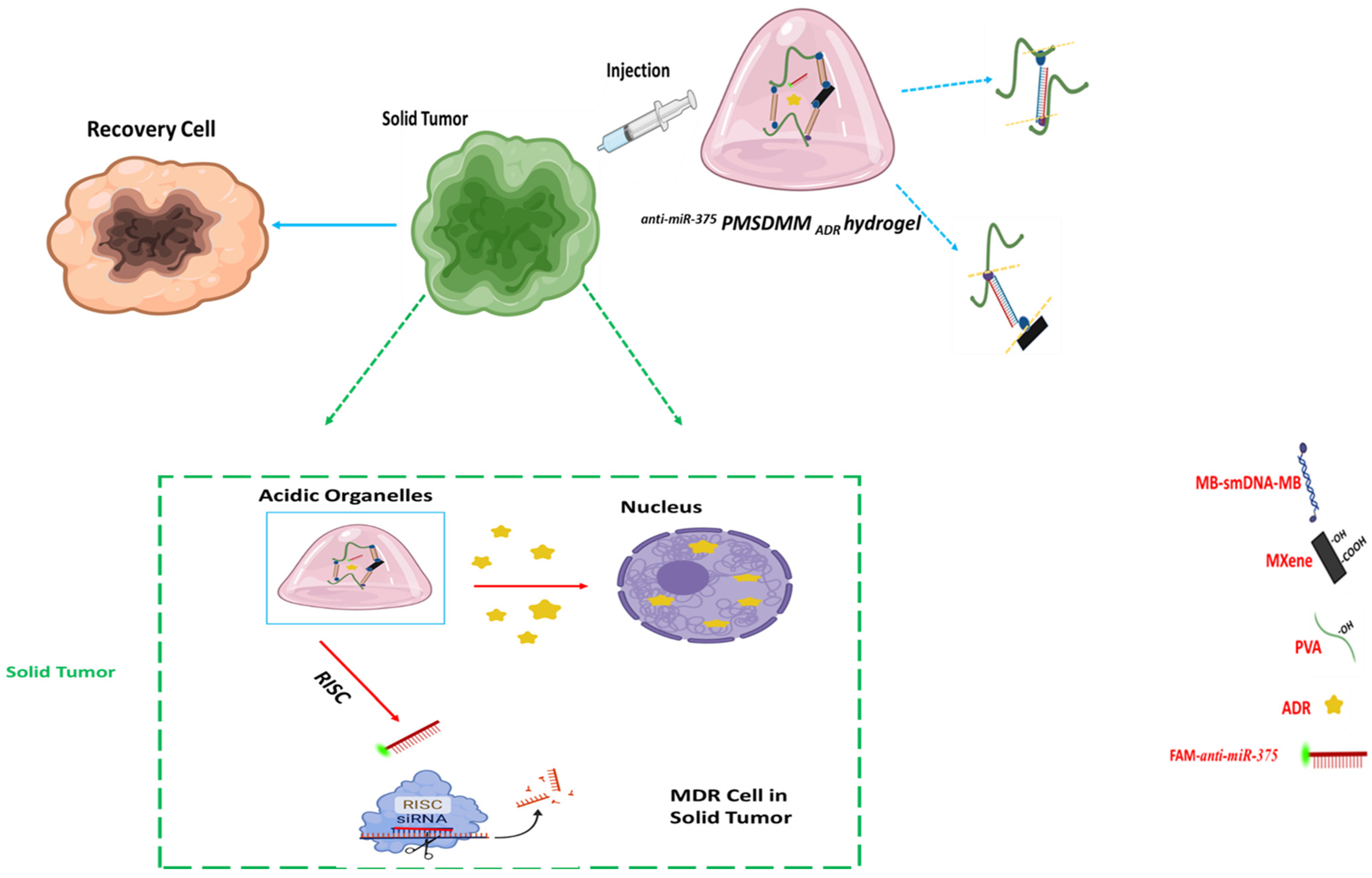 Pharmaceutics 17 00823 g001