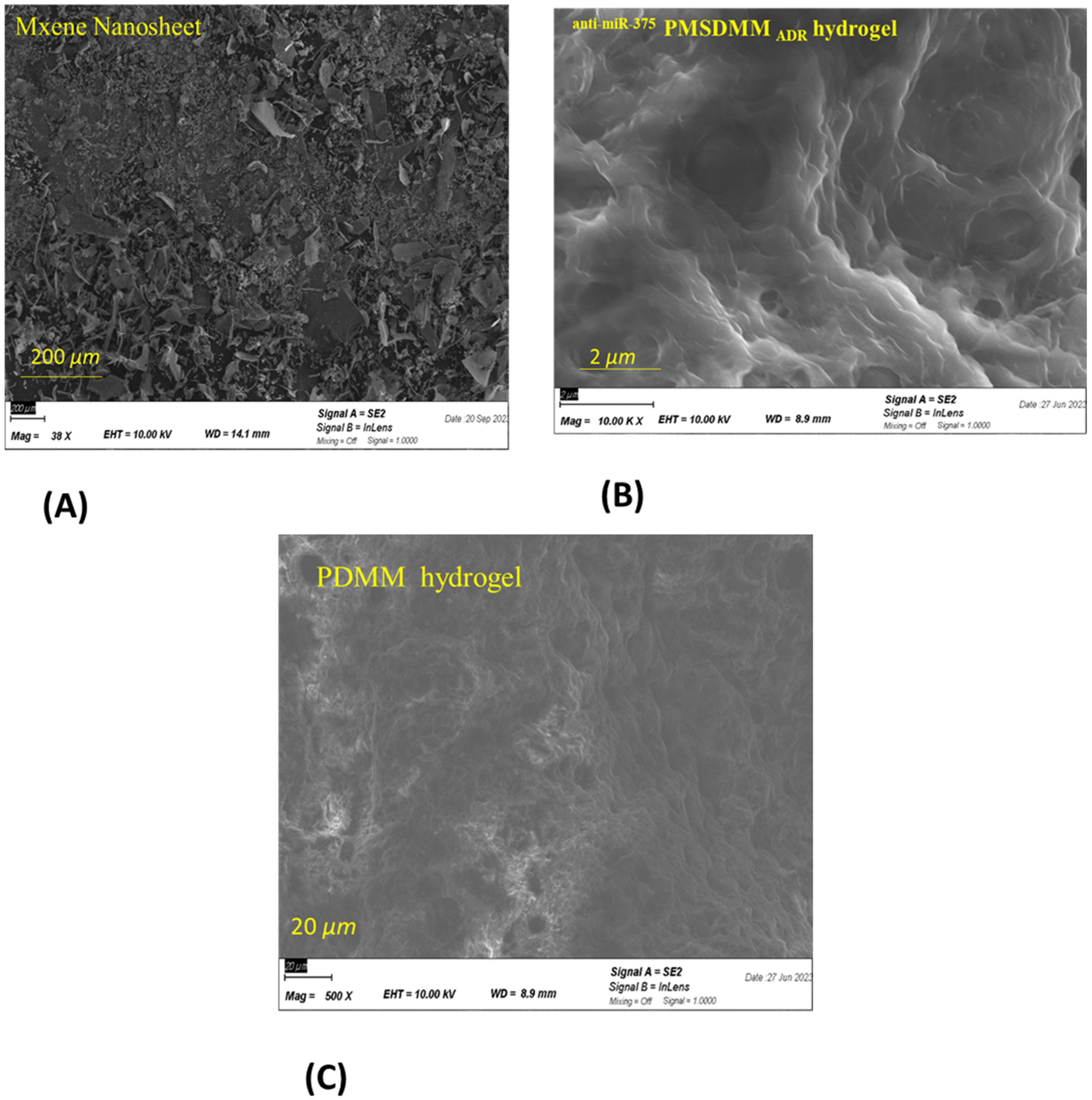 Pharmaceutics 17 00823 g002