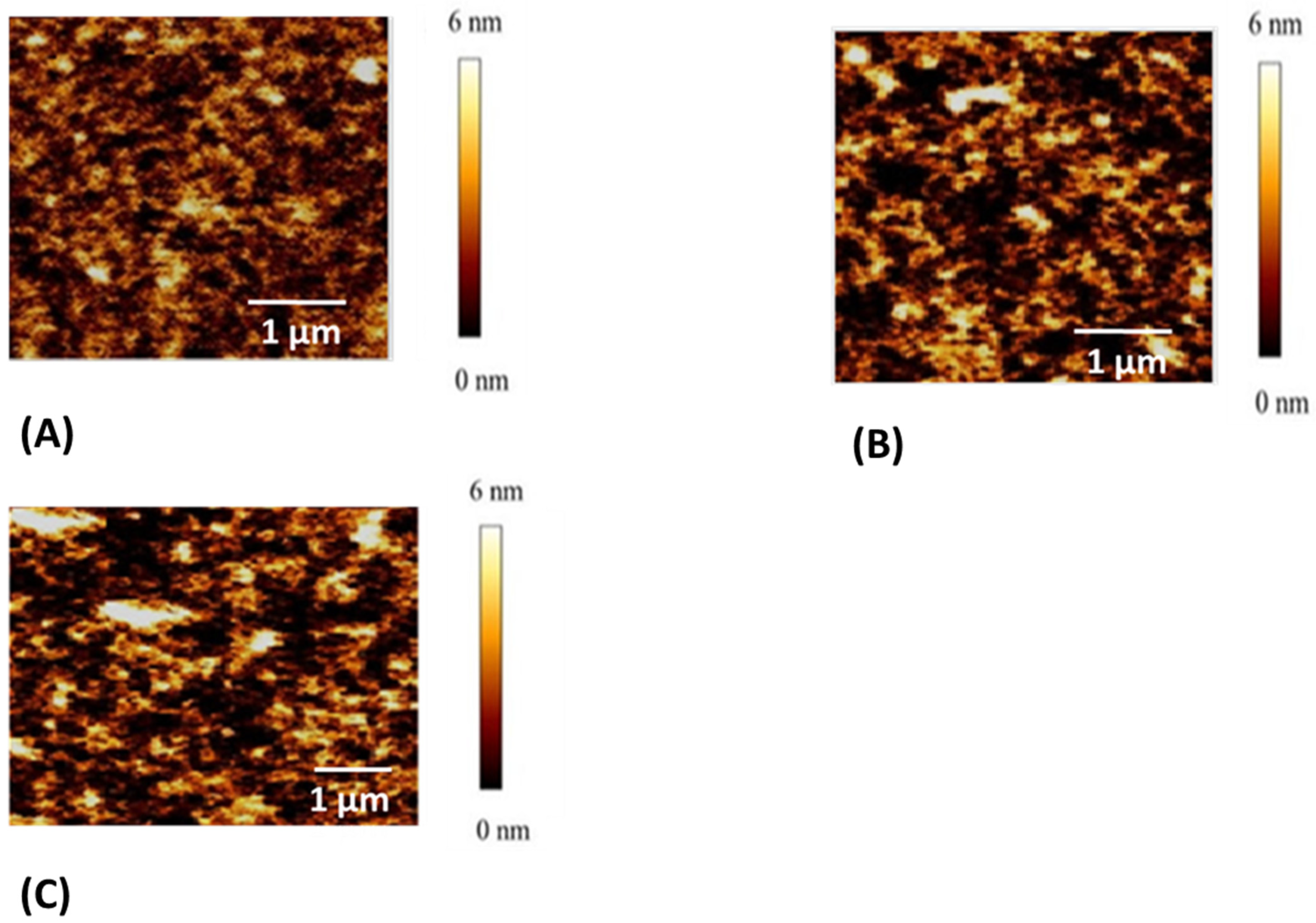 Pharmaceutics 17 00823 g004