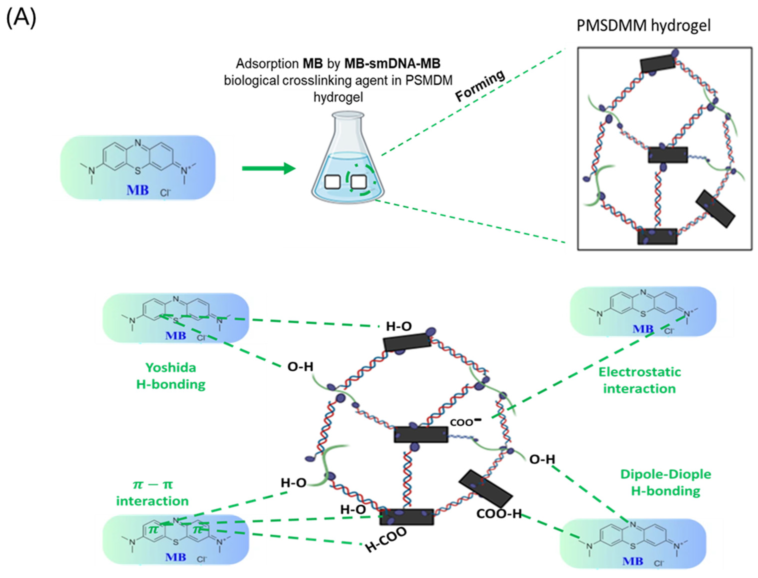 Pharmaceutics 17 00823 g006a