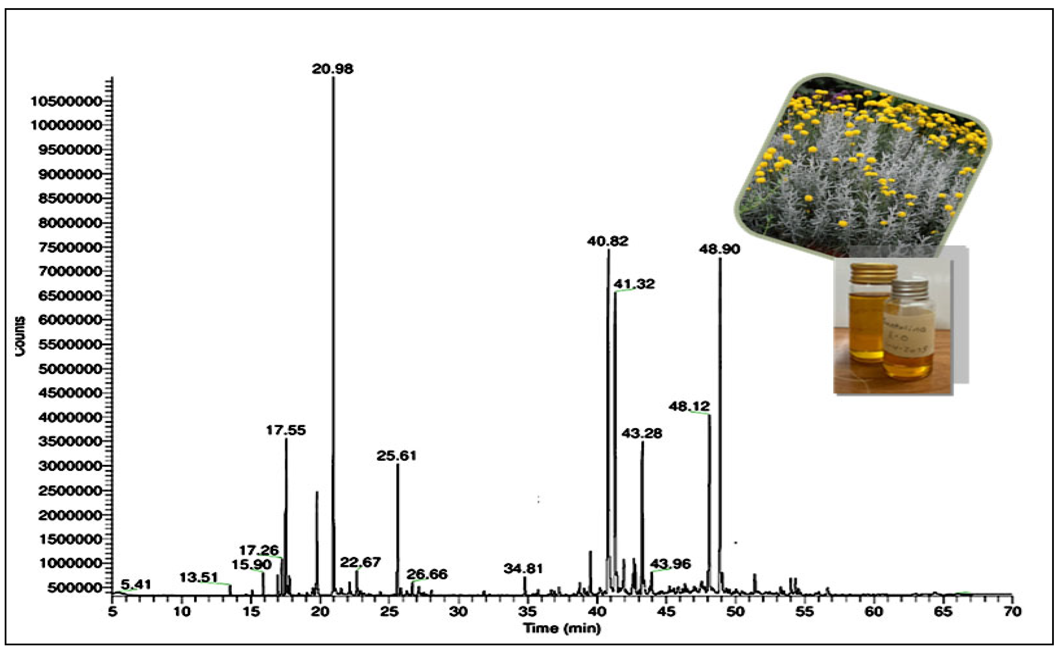 Pharmaceutics 17 00830 g001