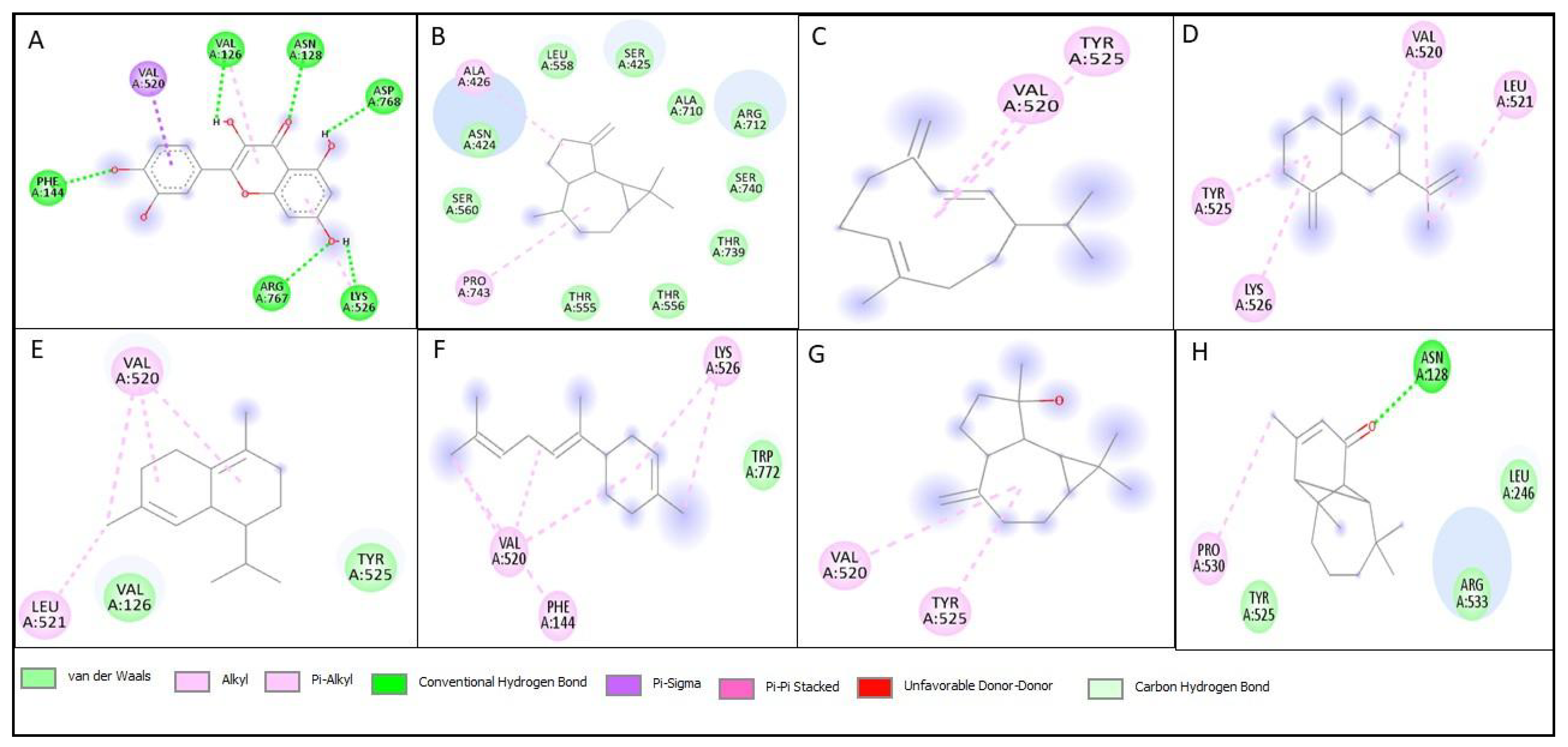 Pharmaceutics 17 00830 g005