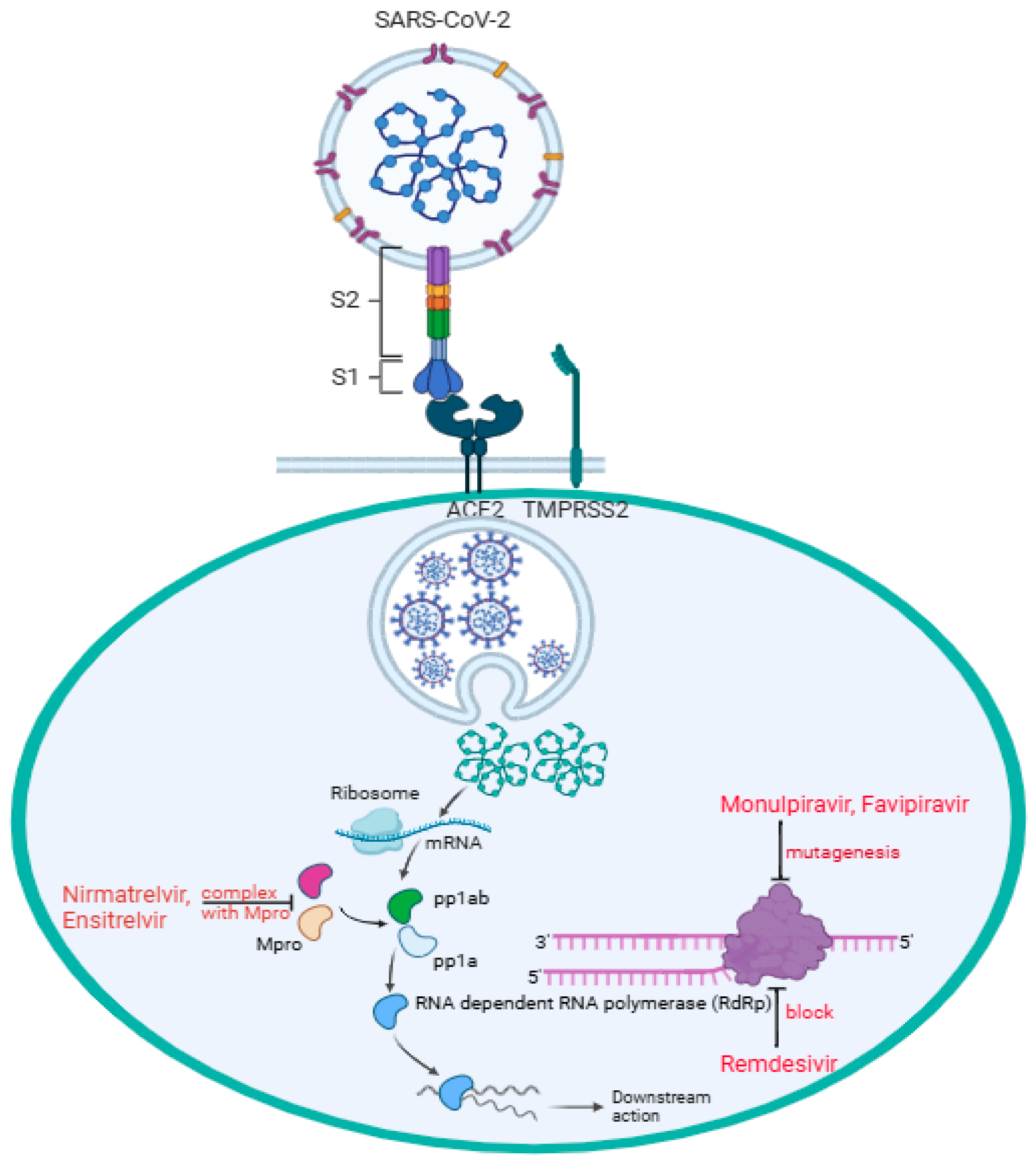 Pharmaceutics 17 00832 g001