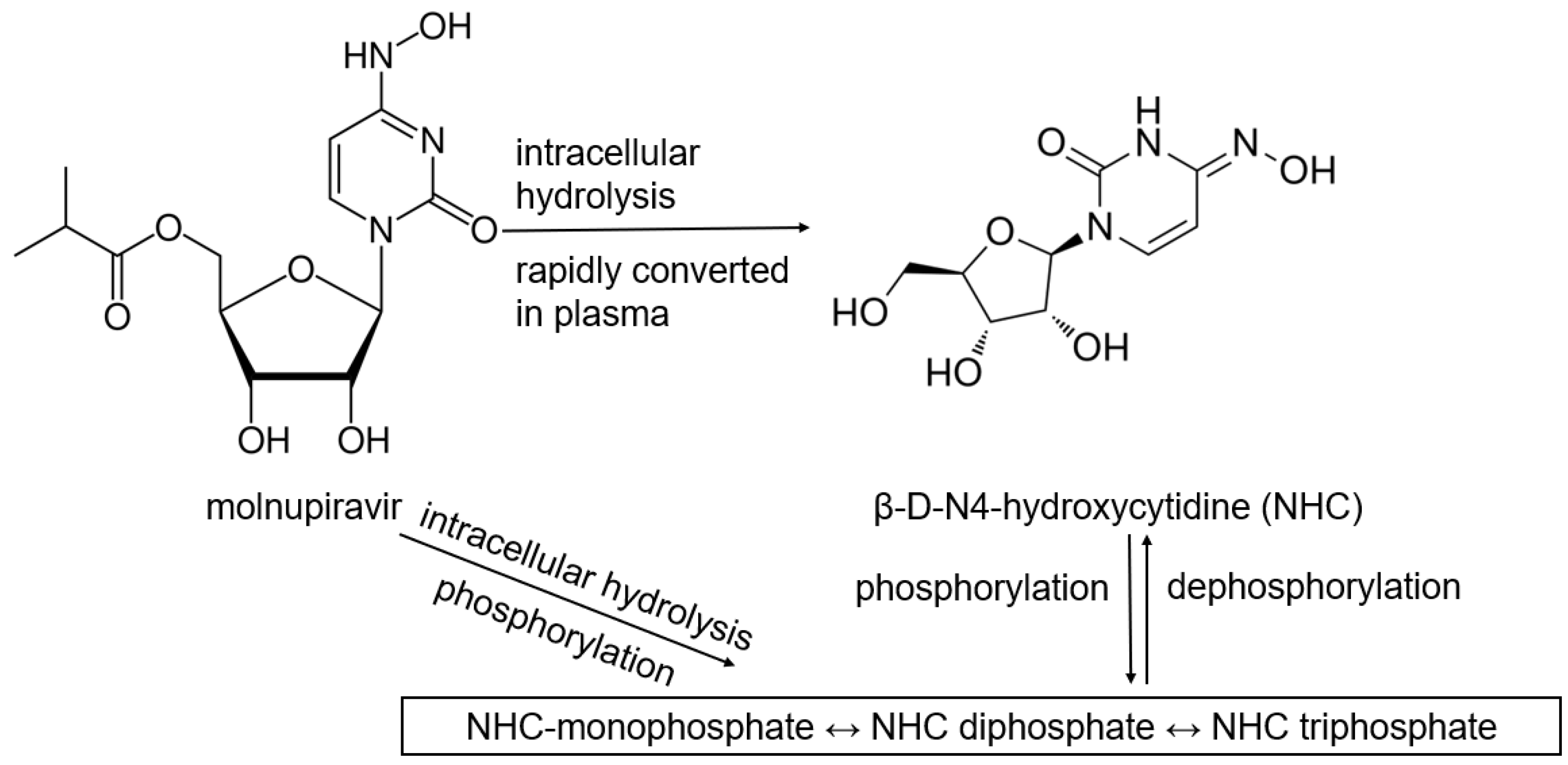 Pharmaceutics 17 00832 g003