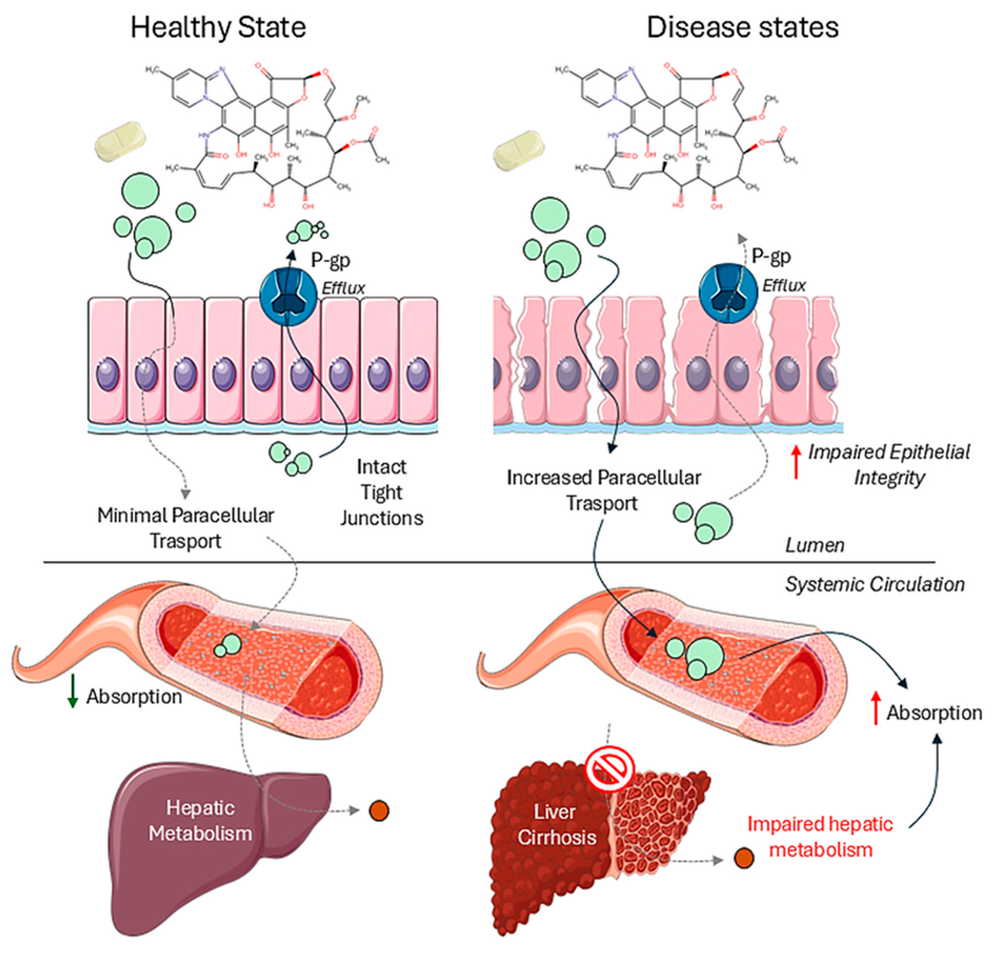 Pharmaceutics 17 00839 g002