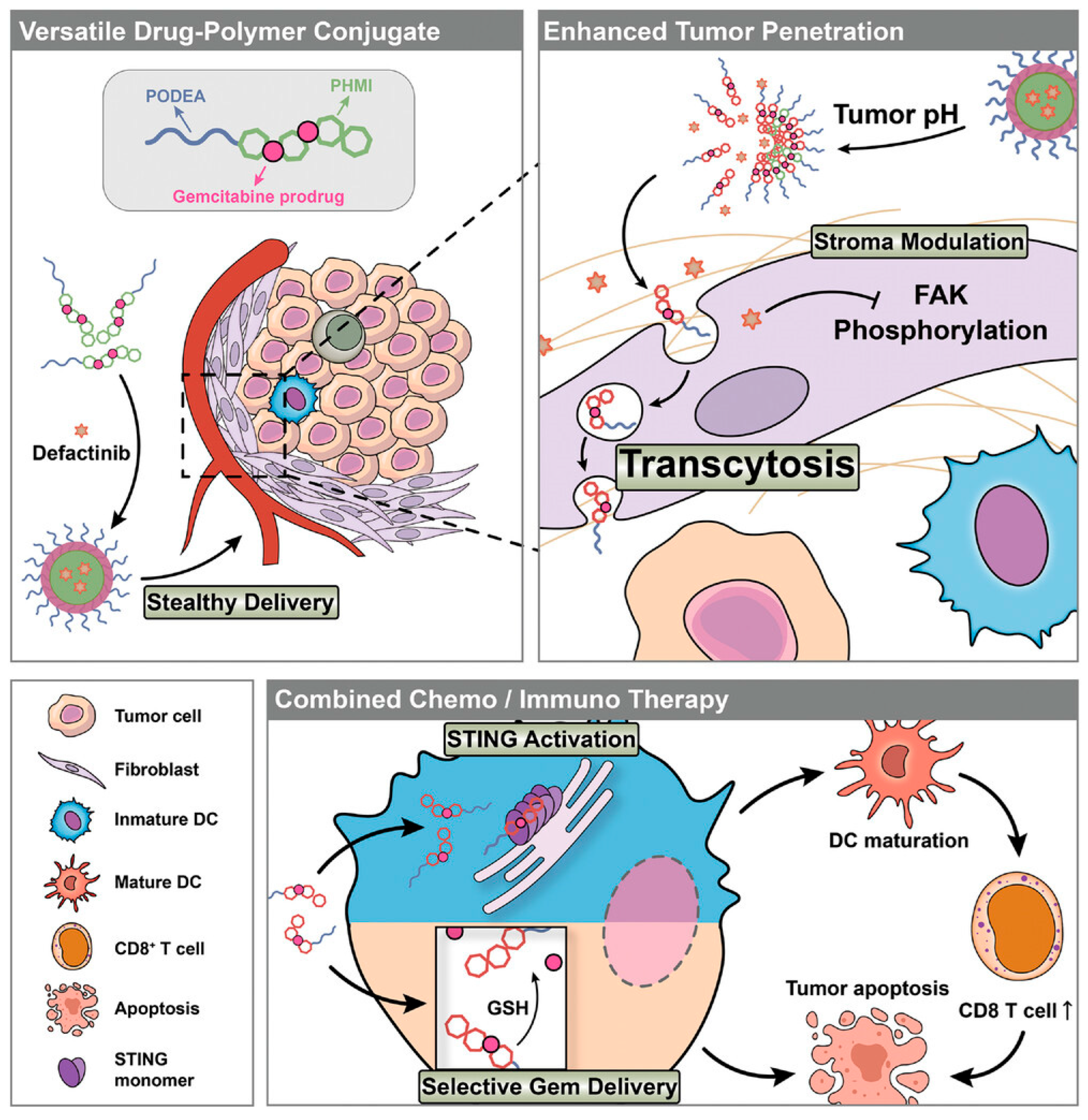 Pharmaceutics 17 00846 g001 Pharmaceutics 17 00846 g001