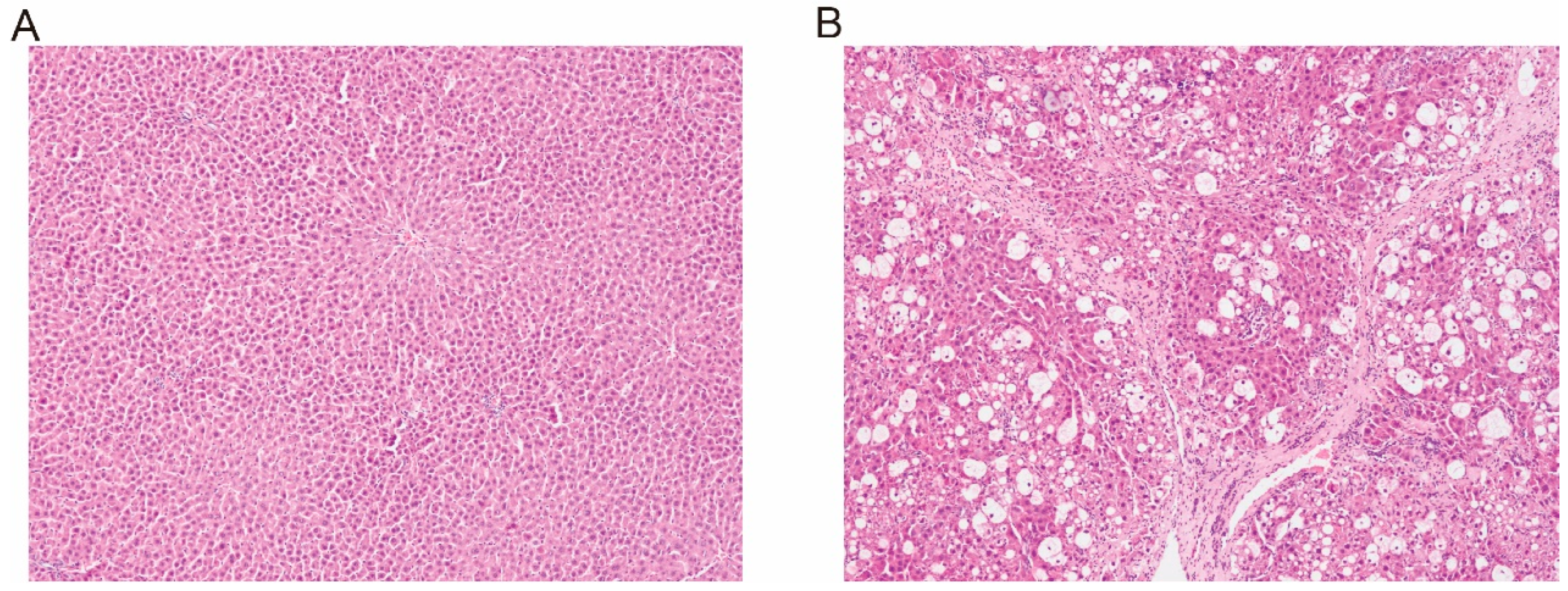 Pharmaceutics 17 00851 g001